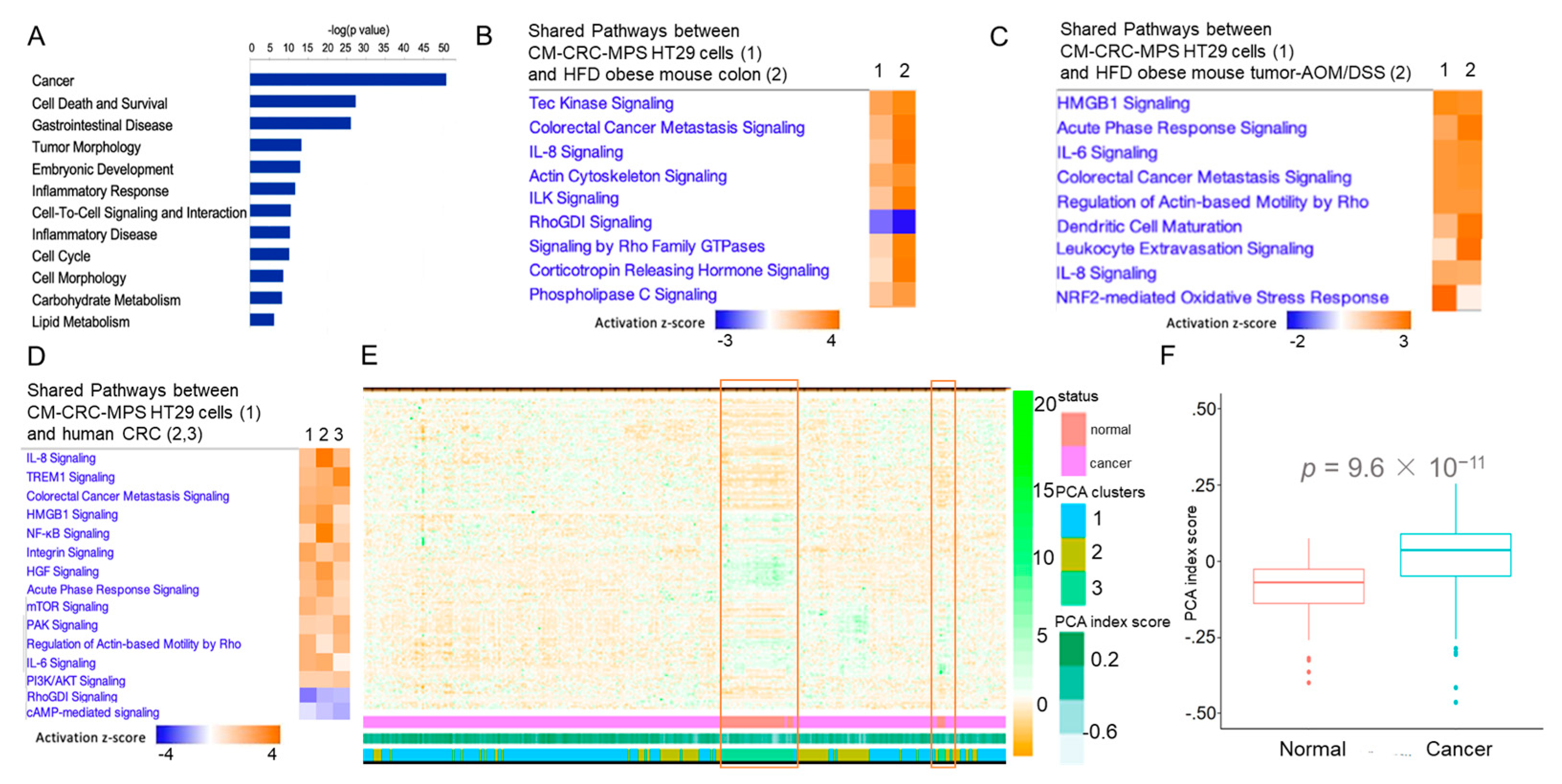 Cancers 15 00977 g003