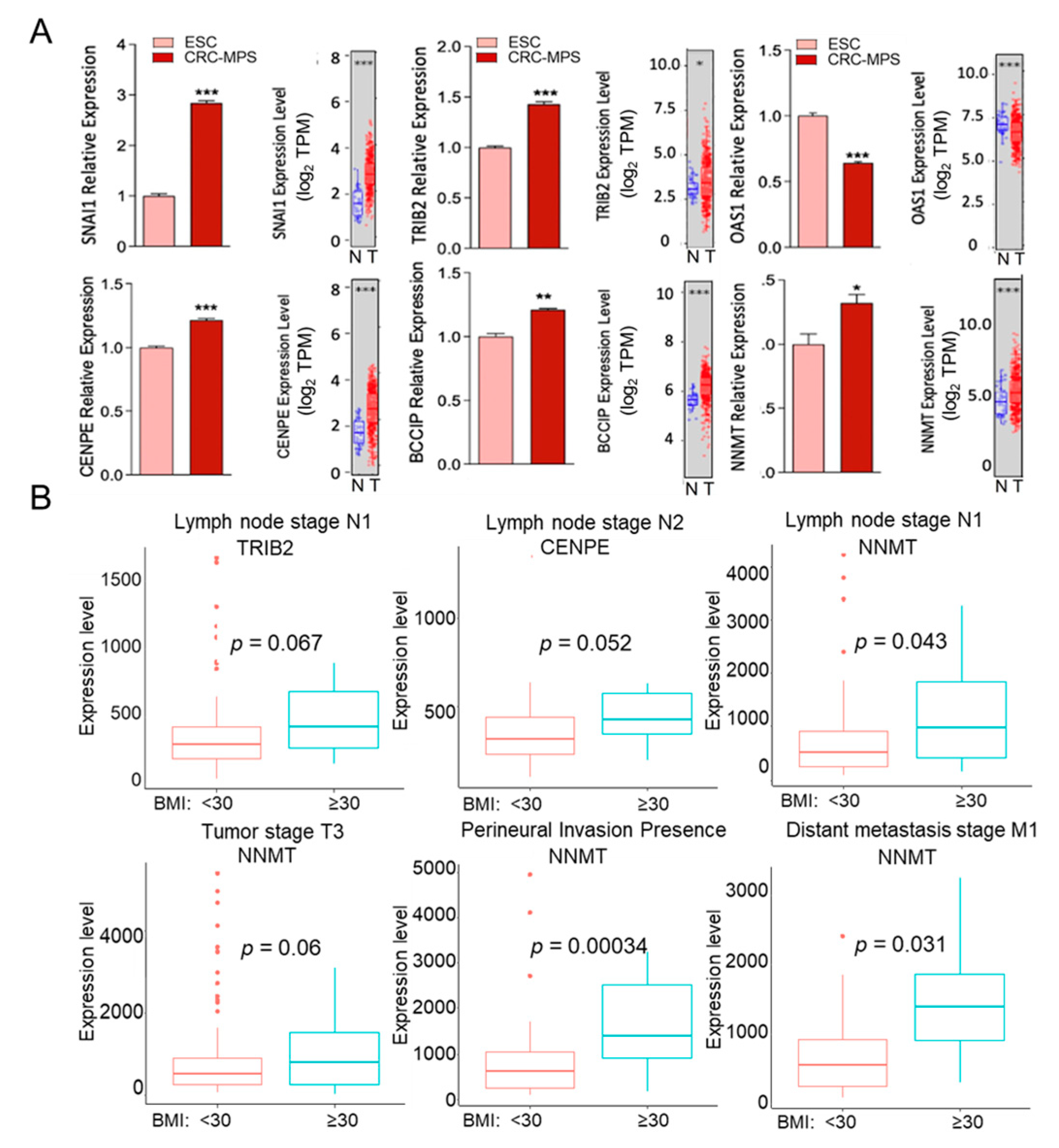 Cancers 15 00977 g004