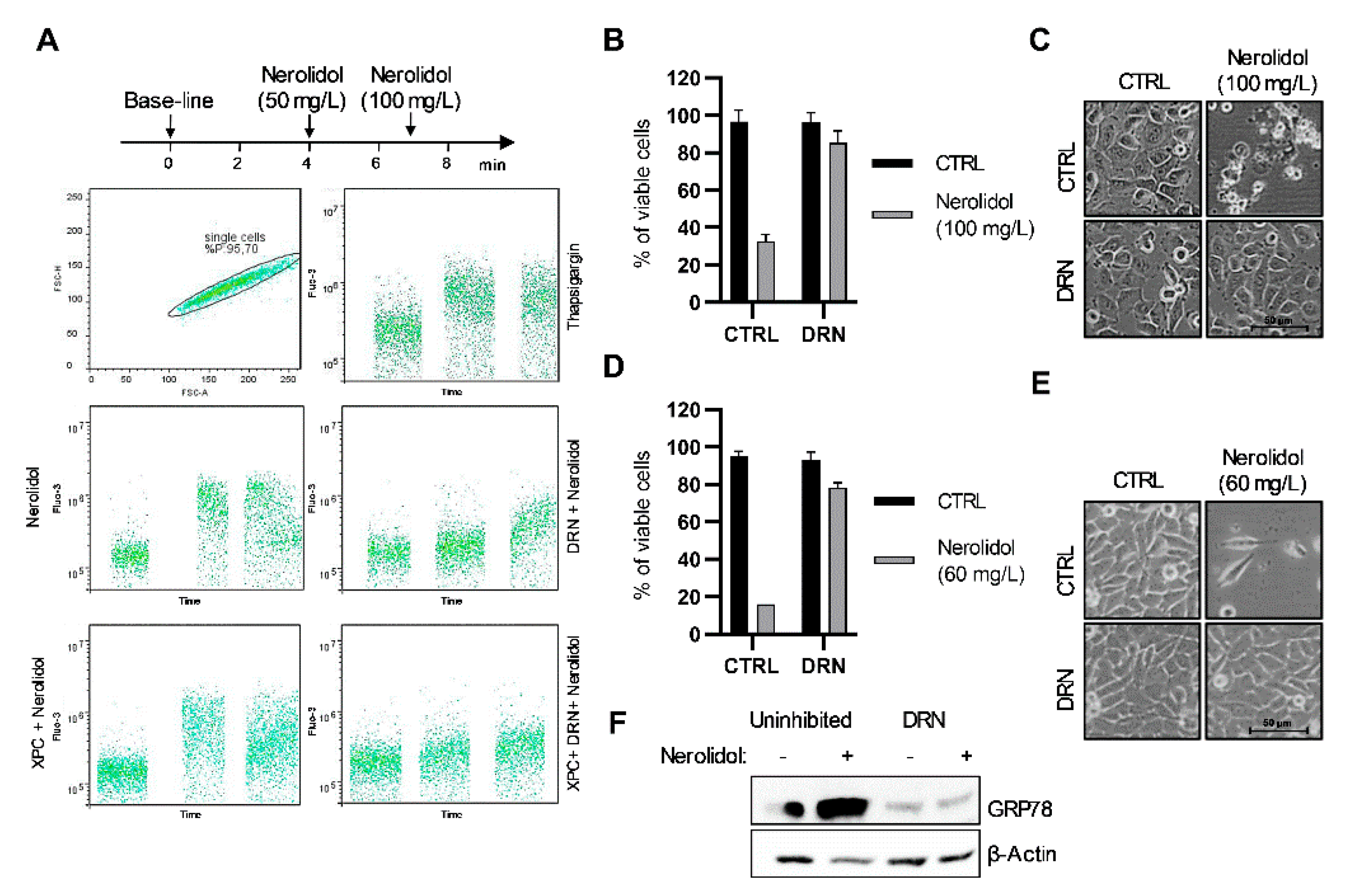 Cancers 15 00981 g003 Cancers 15 00981 g003