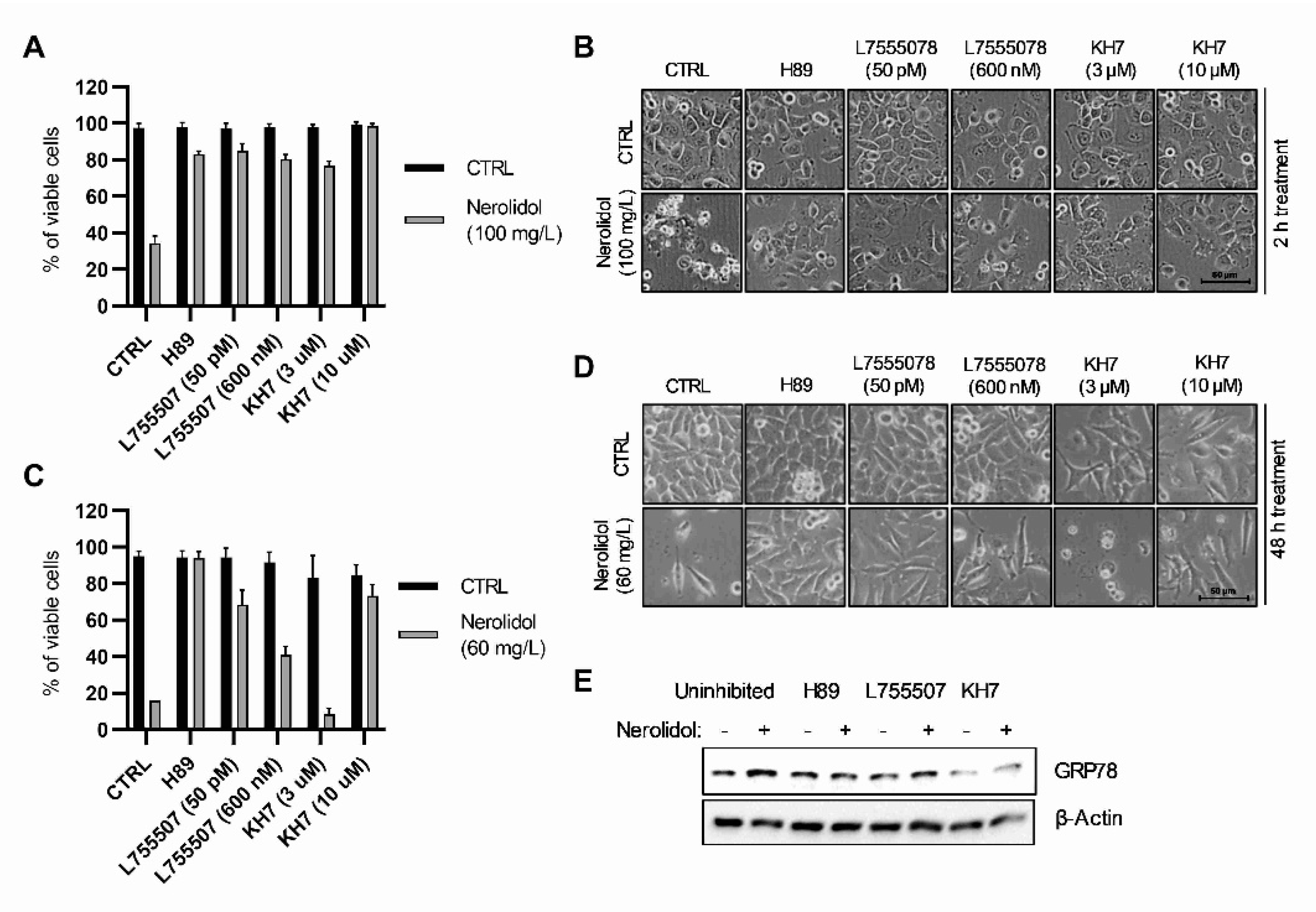Cancers 15 00981 g004 Cancers 15 00981 g004