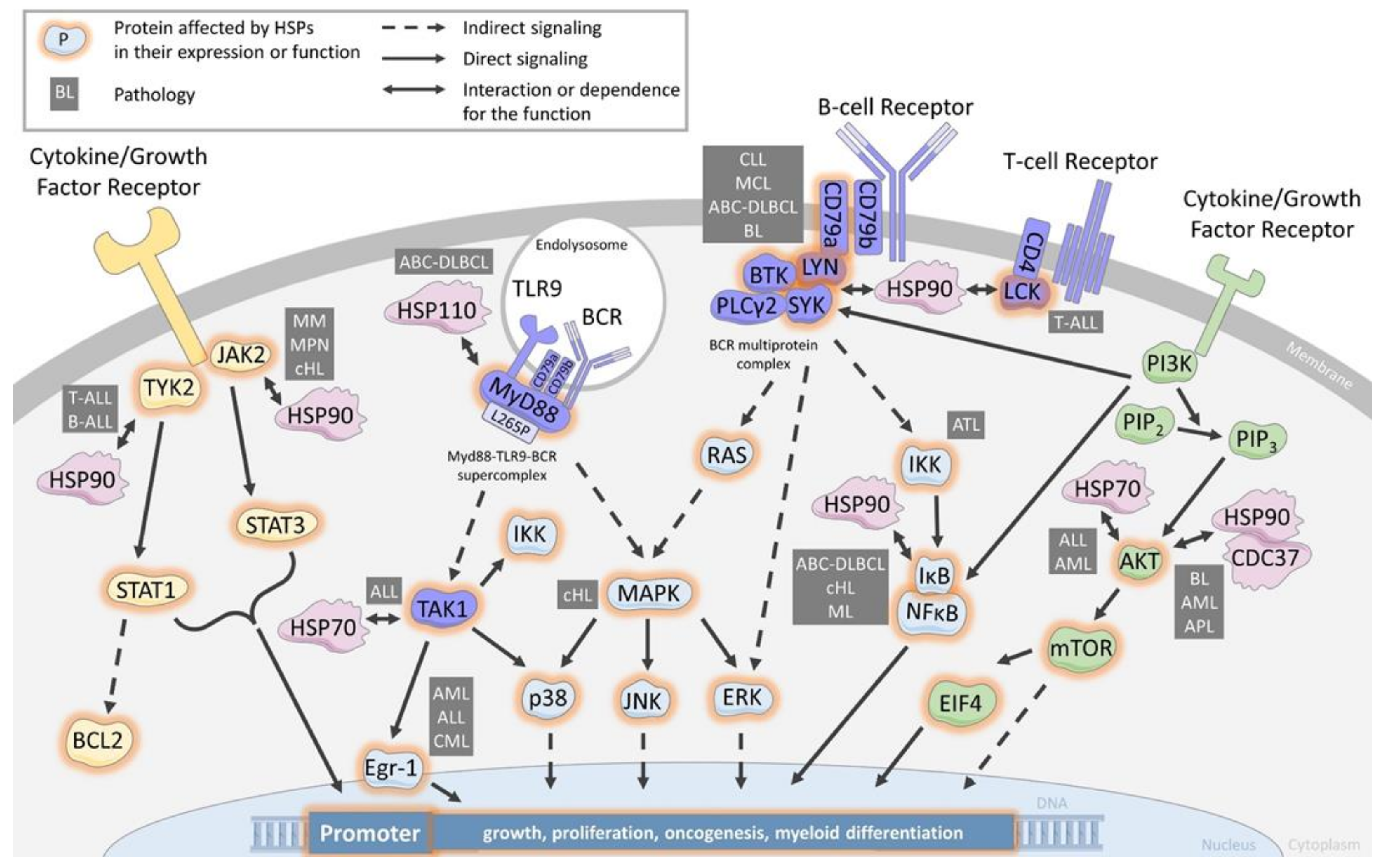 Cancers 15 00984 g001 Cancers 15 00984 g001