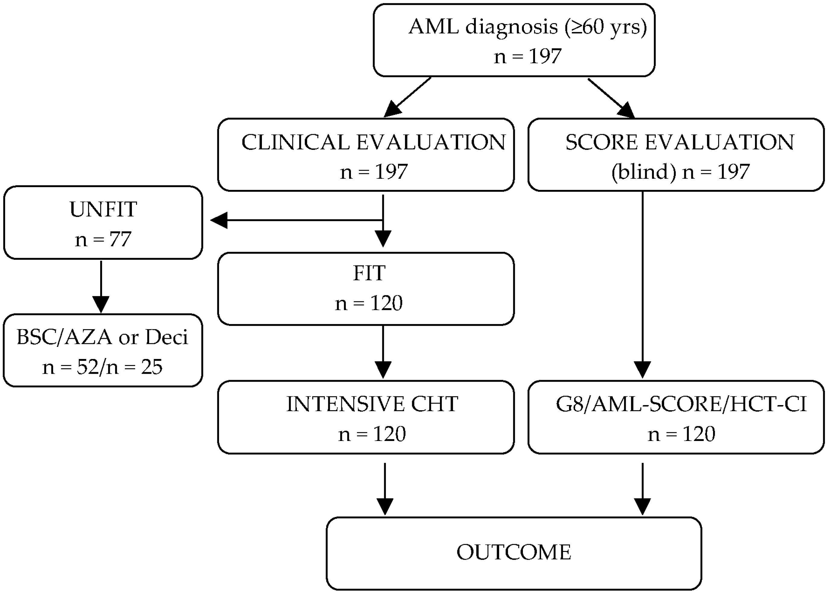 Cancers 15 01002 g001