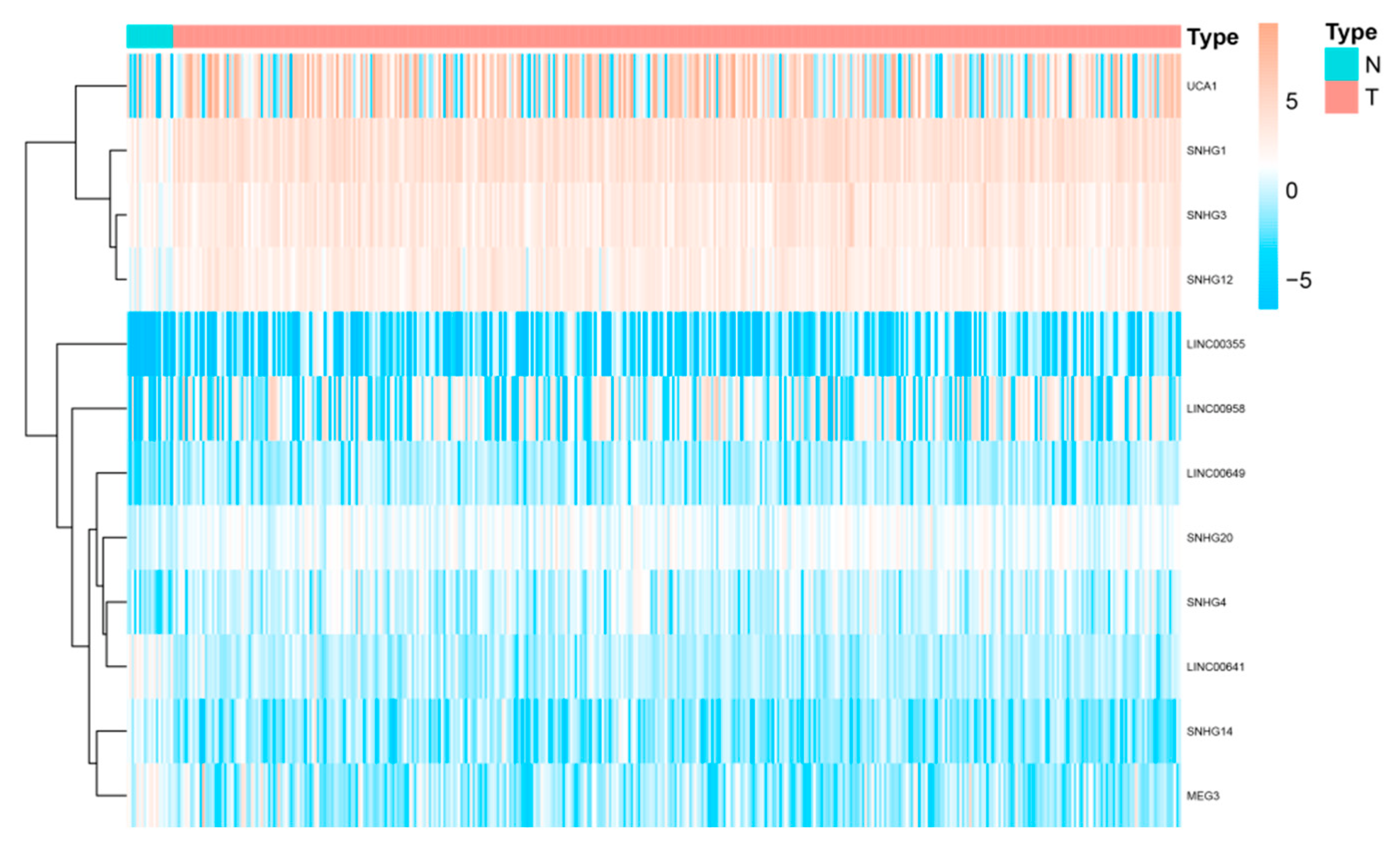 Cancers 15 01007 g002