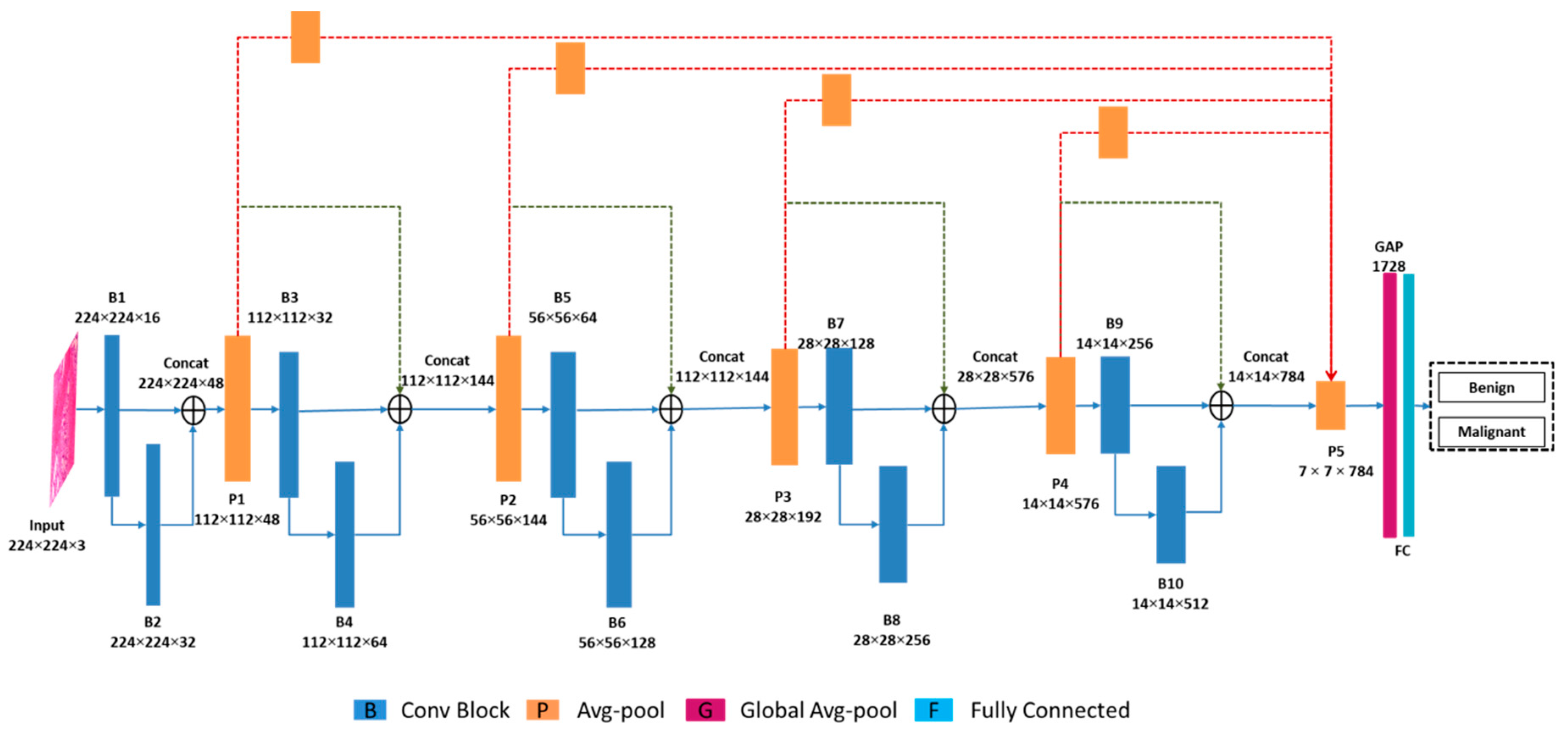 Cancers 15 01013 g001