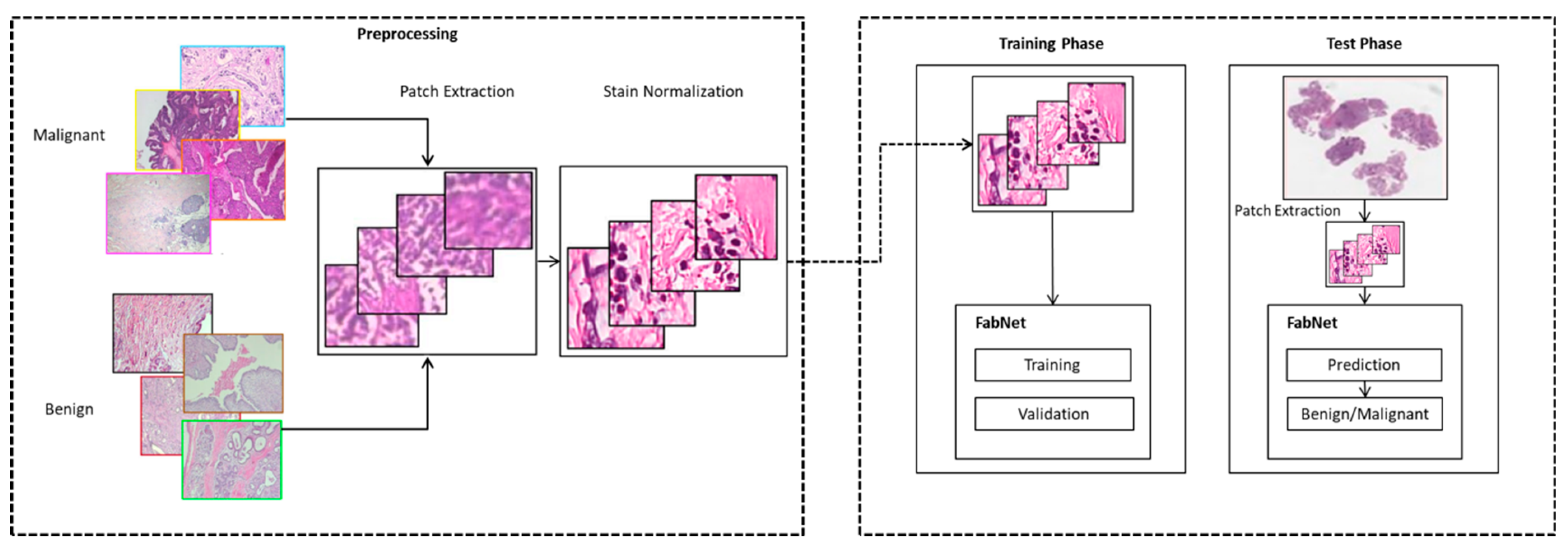 Cancers 15 01013 g003