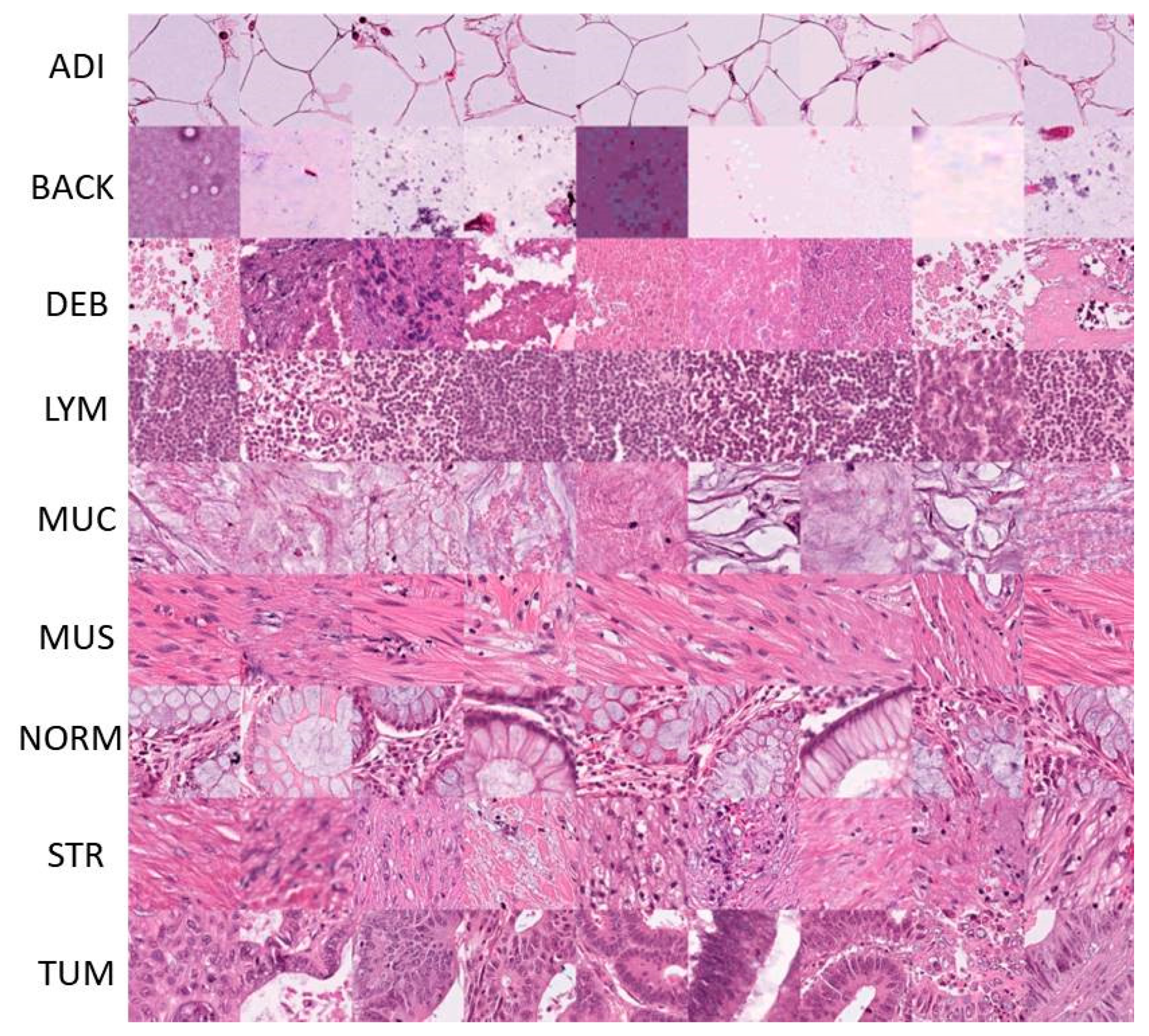 Cancers 15 01013 g006