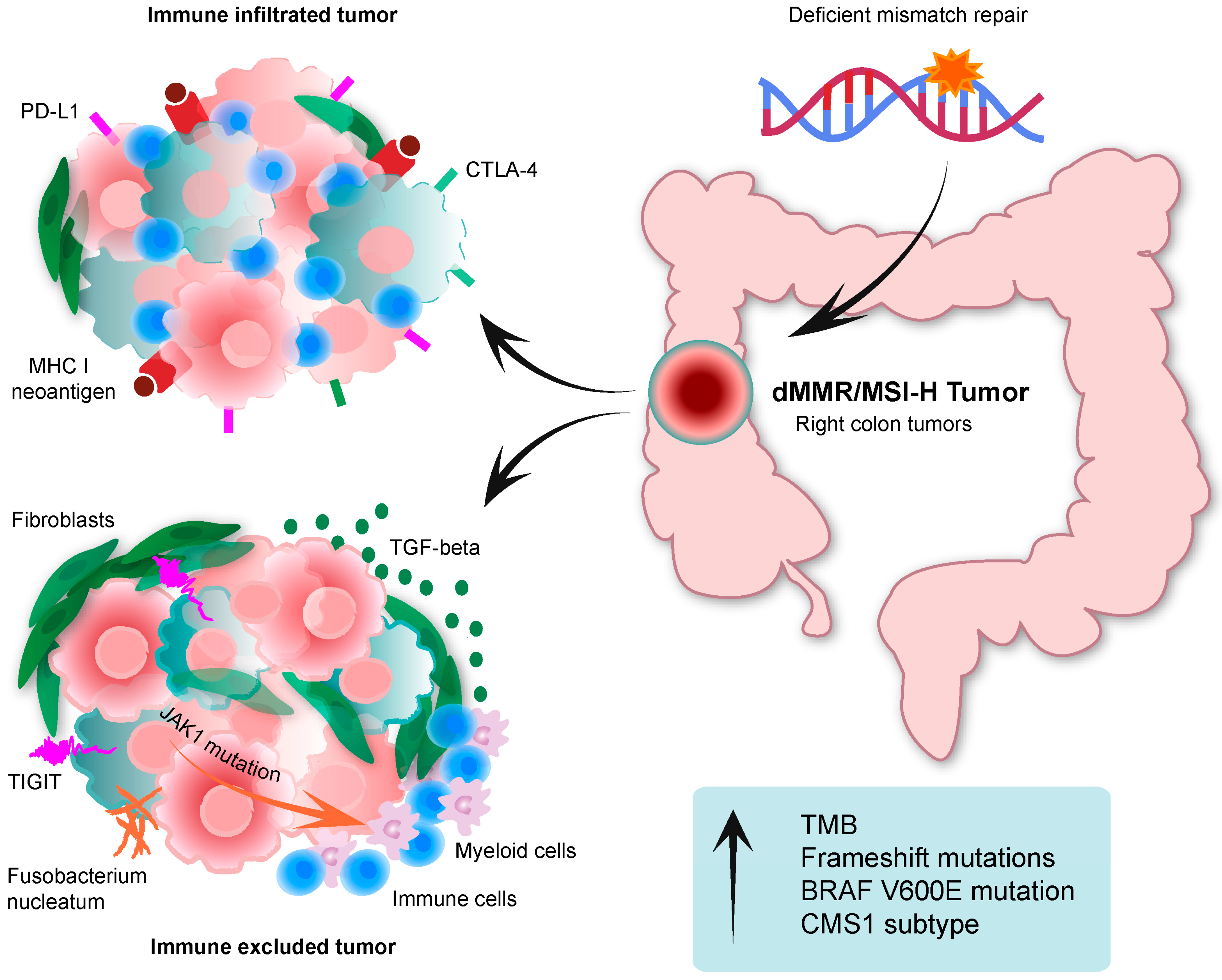 Cancers 15 01022 g001 Cancers 15 01022 g001