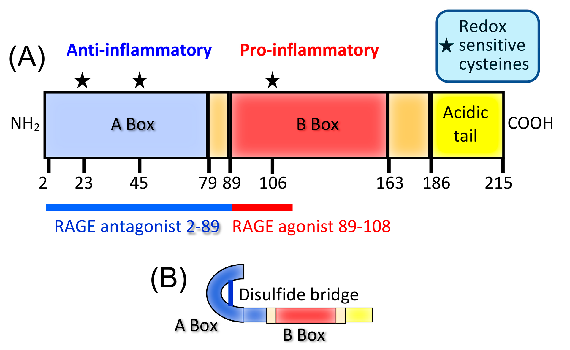 Cancers 15 01026 g004 Cancers 15 01026 g004
