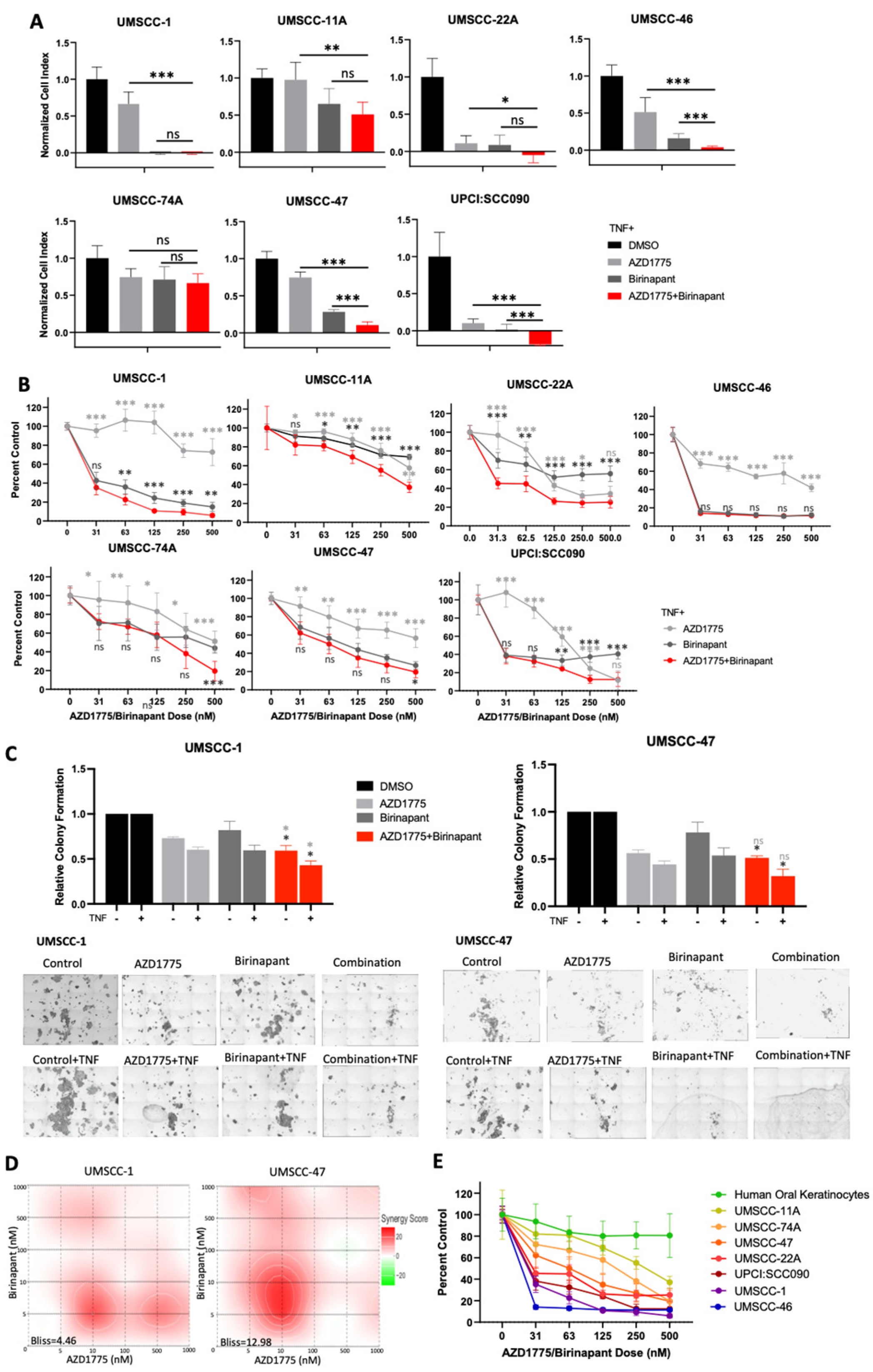 Cancers 15 01029 g001