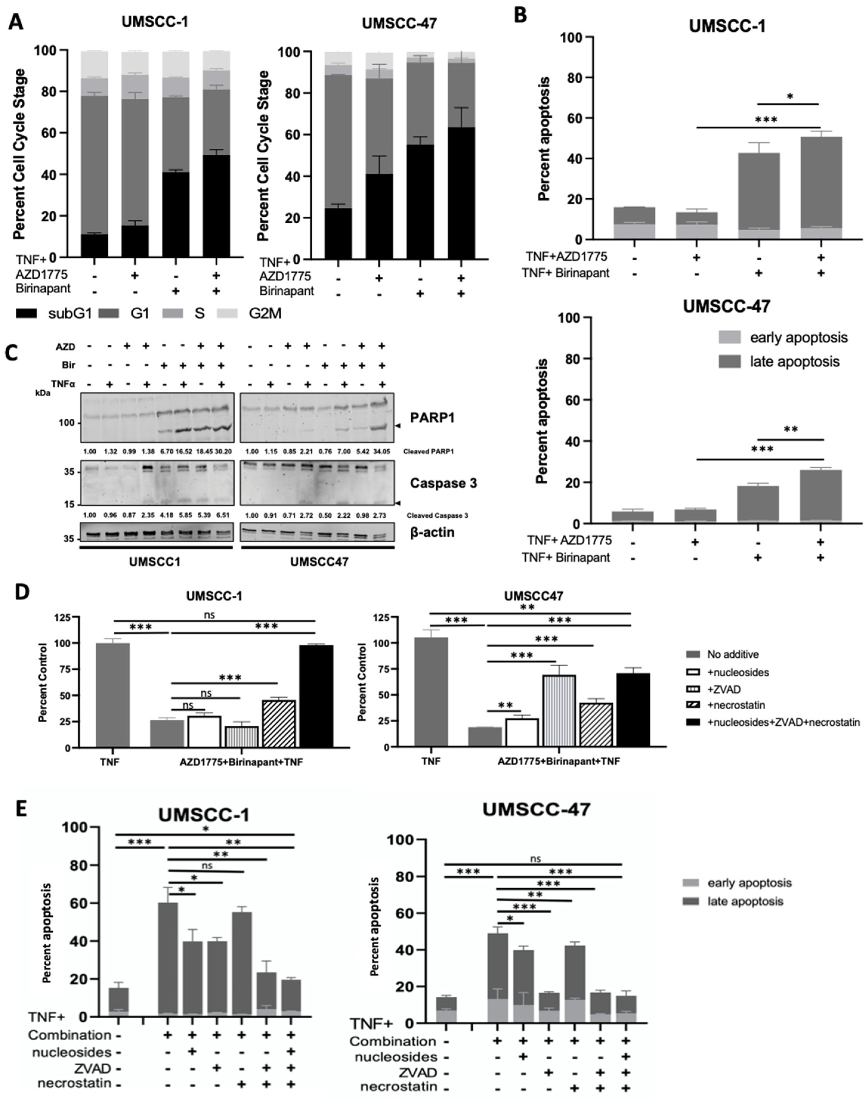 Cancers 15 01029 g002