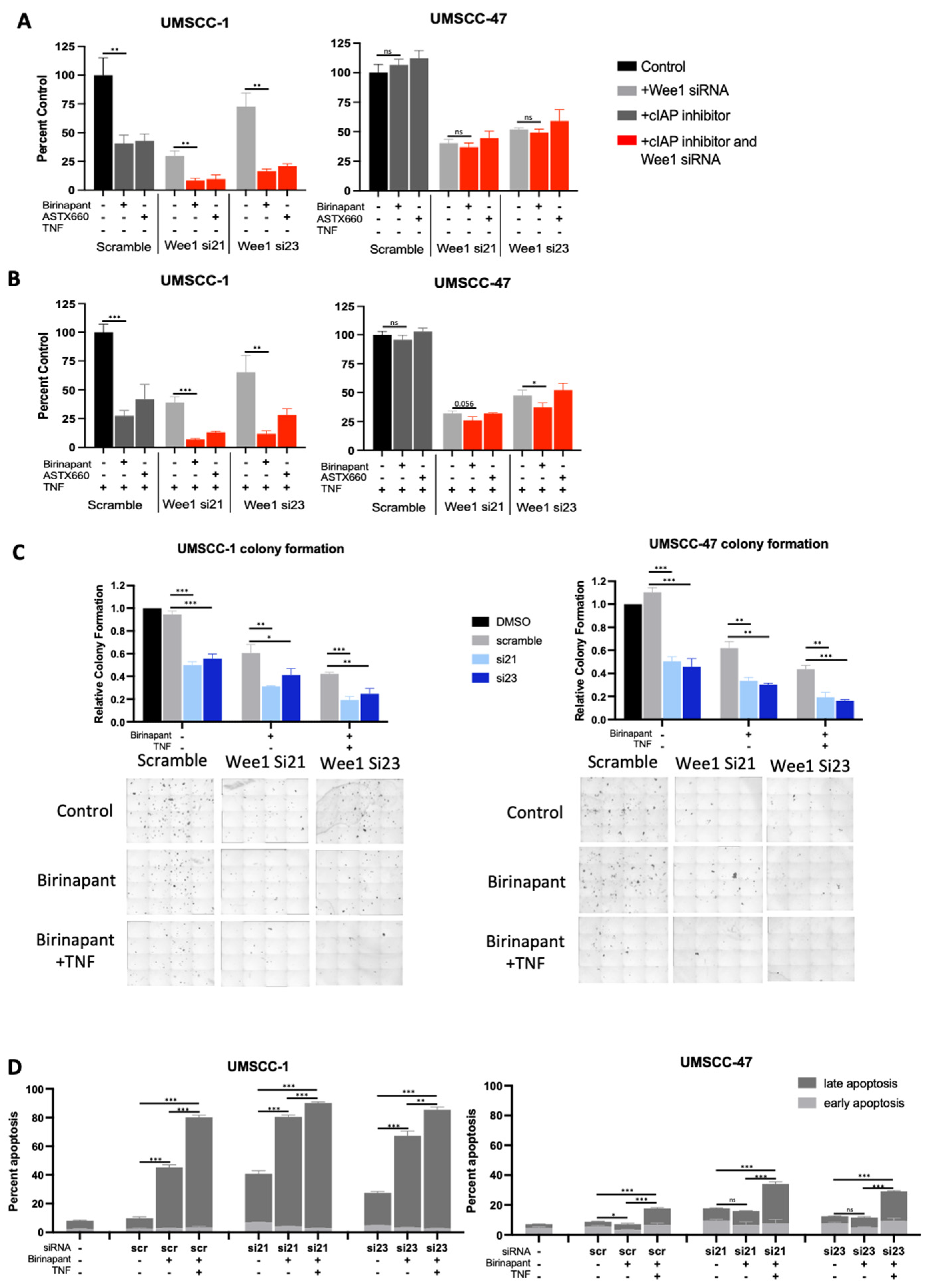 Cancers 15 01029 g003