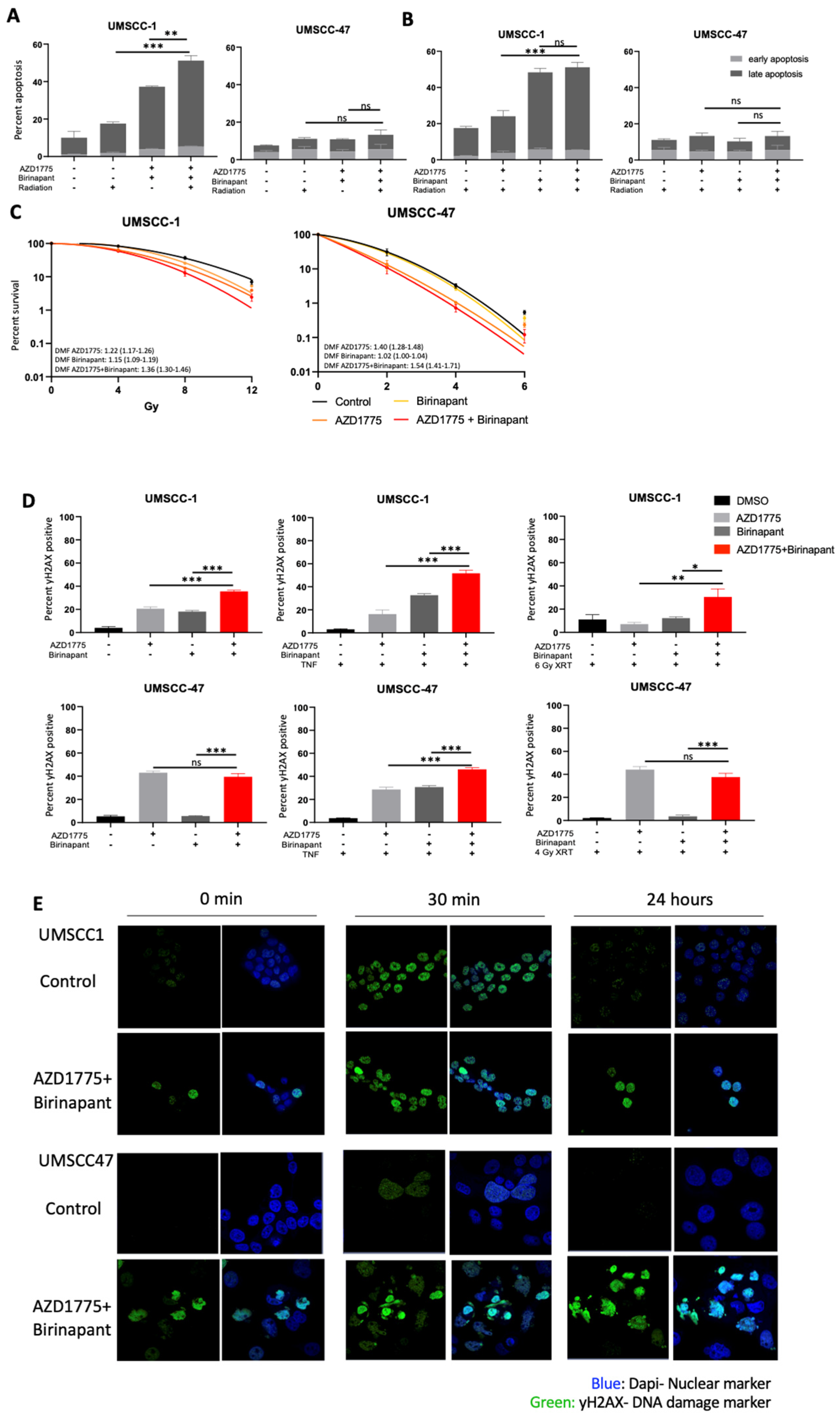Cancers 15 01029 g004