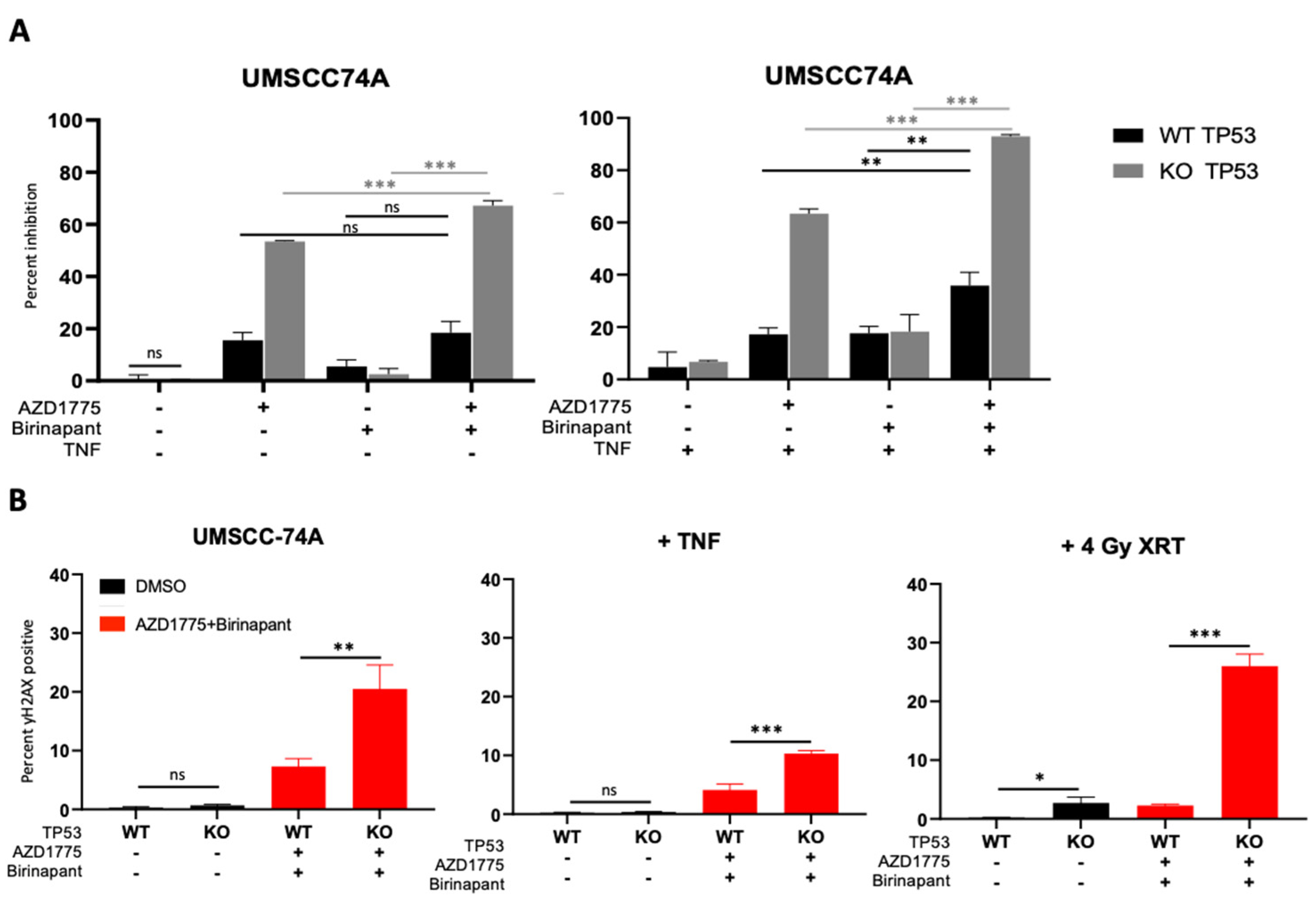 Cancers 15 01029 g005
