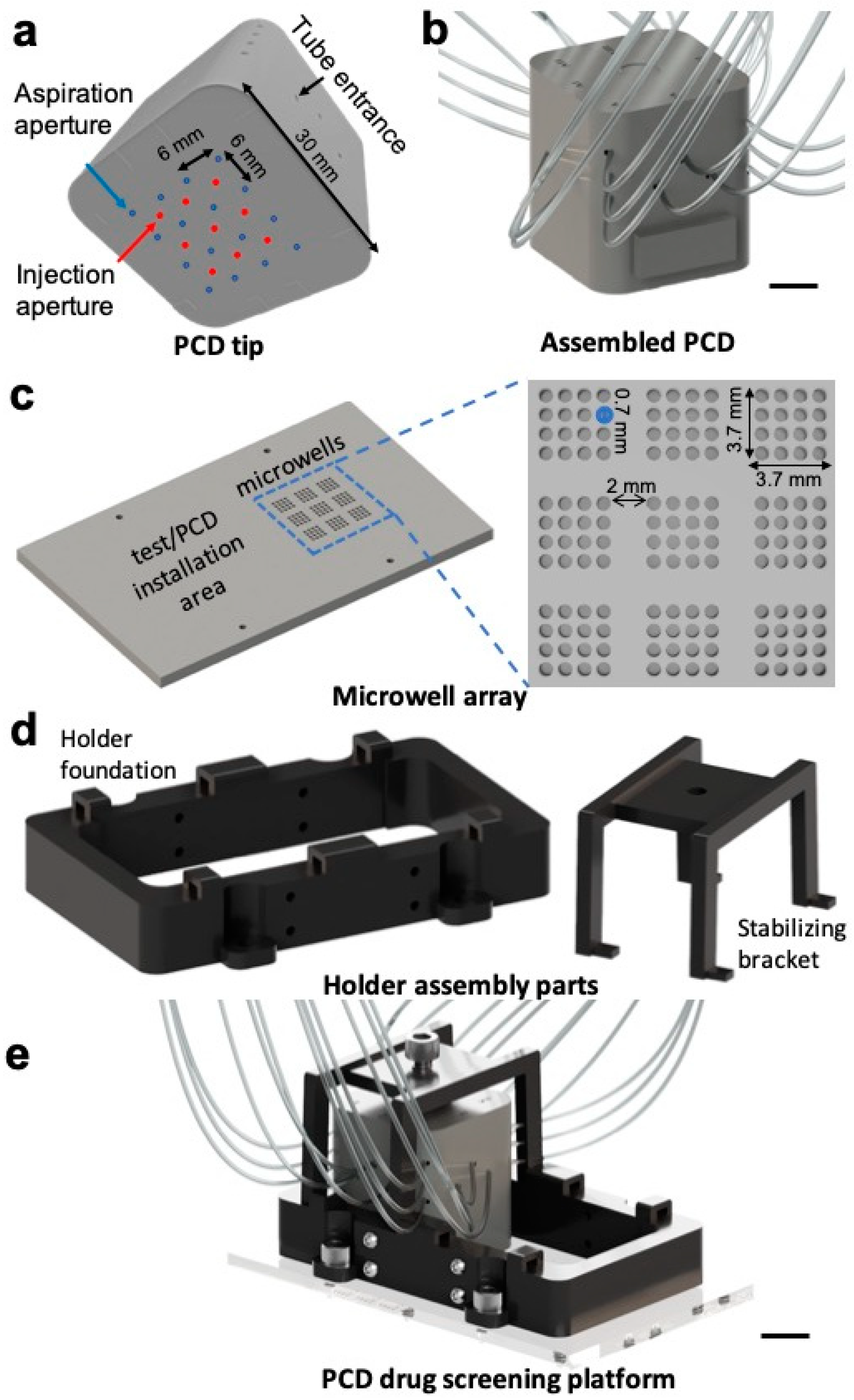 Cancers 15 01060 g001 Cancers 15 01060 g001