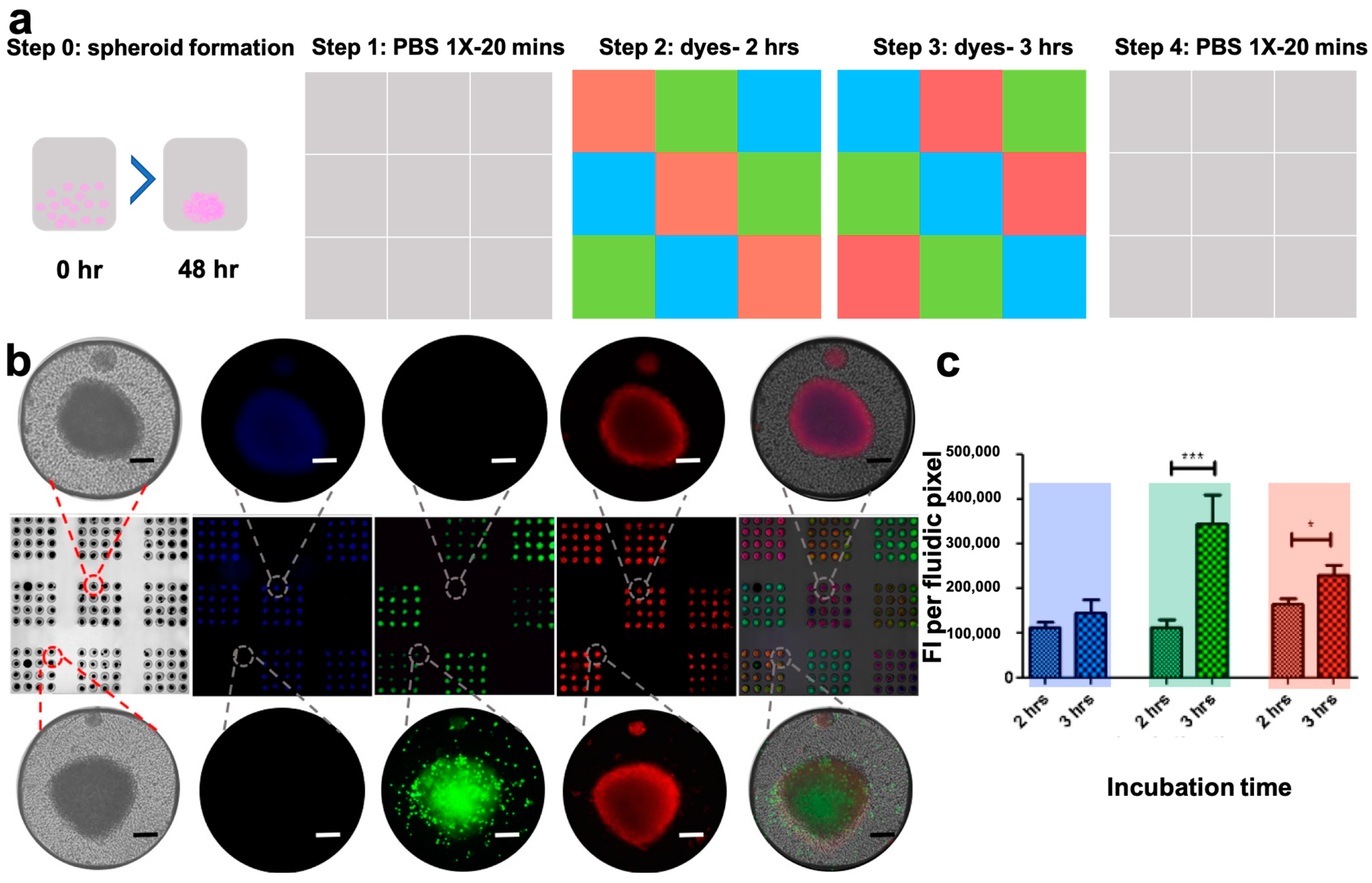 Cancers 15 01060 g004 Cancers 15 01060 g004