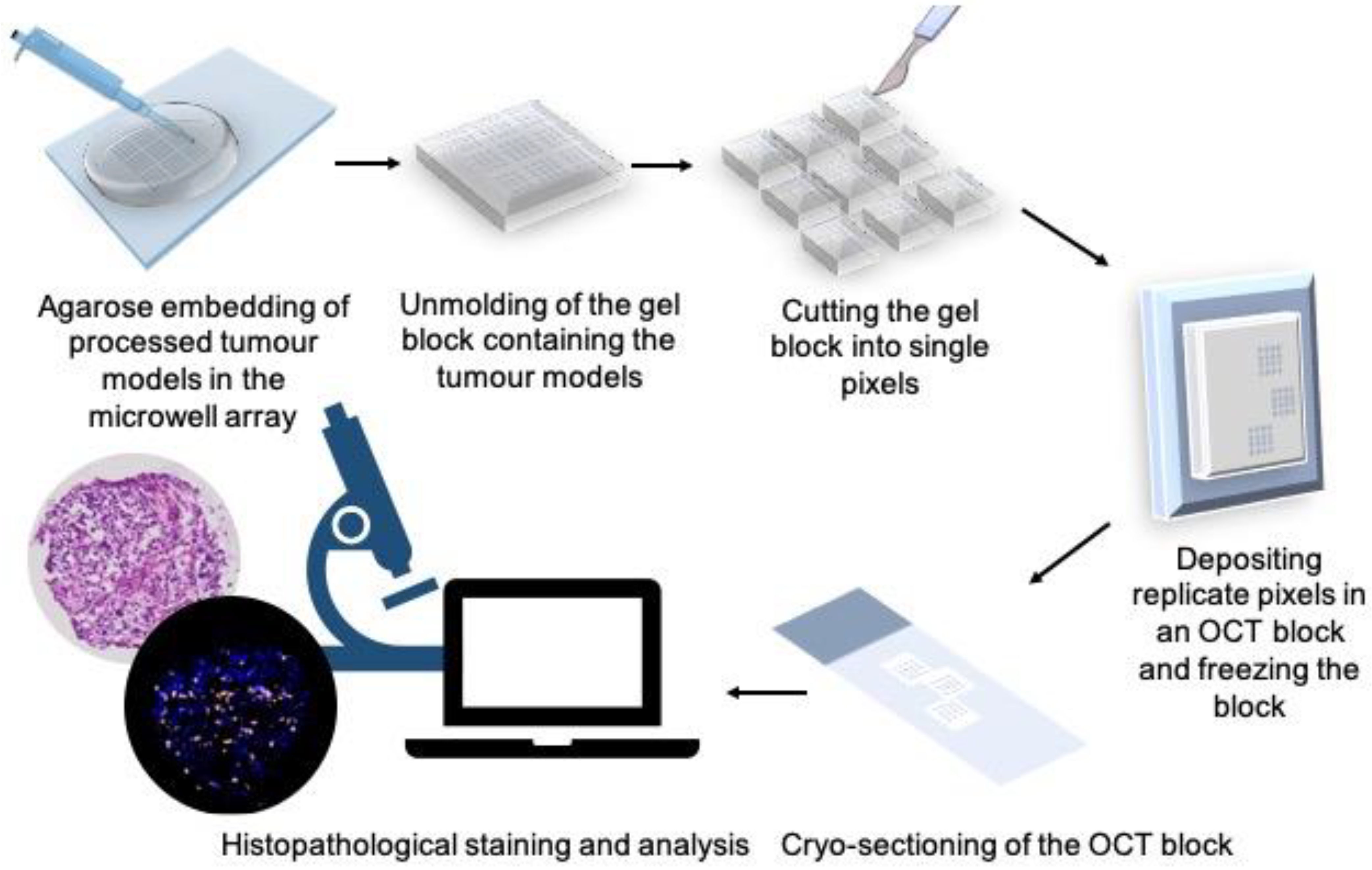Cancers 15 01060 g005 Cancers 15 01060 g005