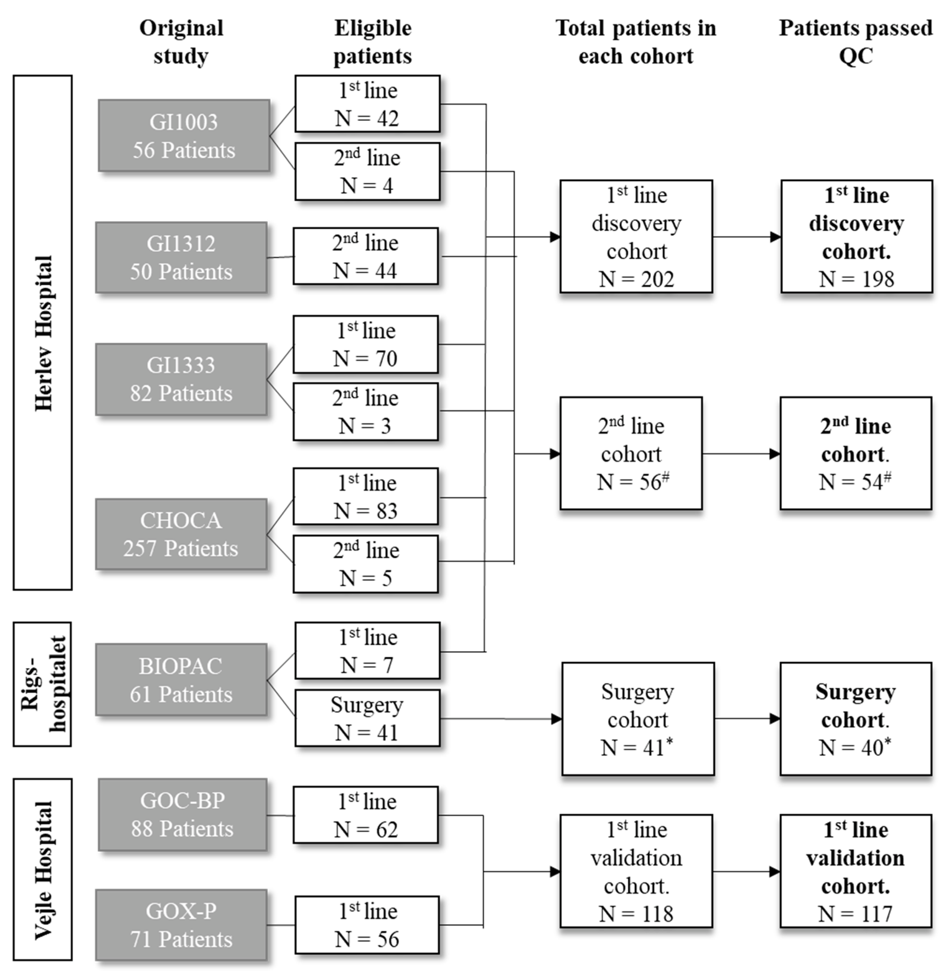 Cancers 15 01062 g001