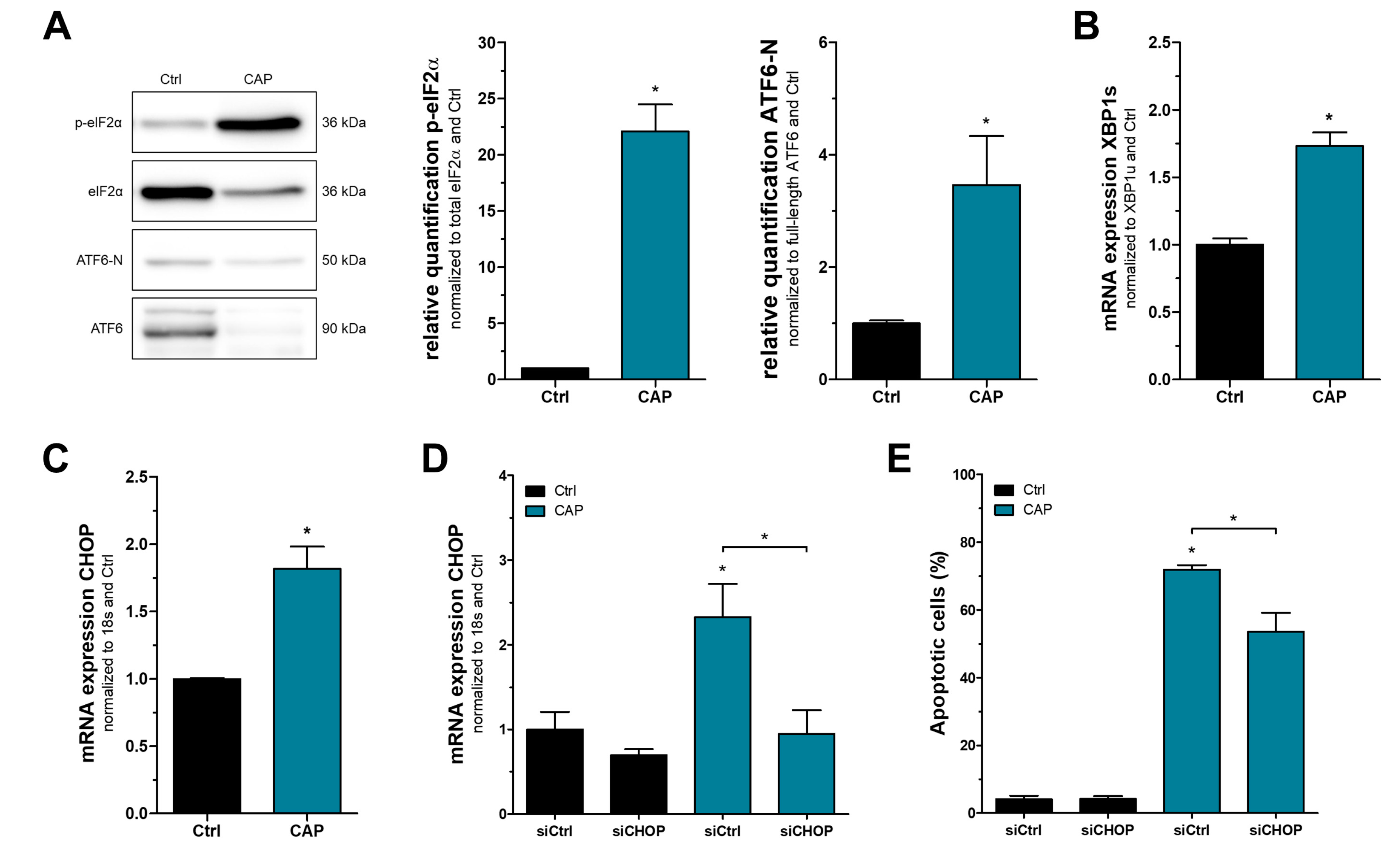 Cancers 15 01064 g001