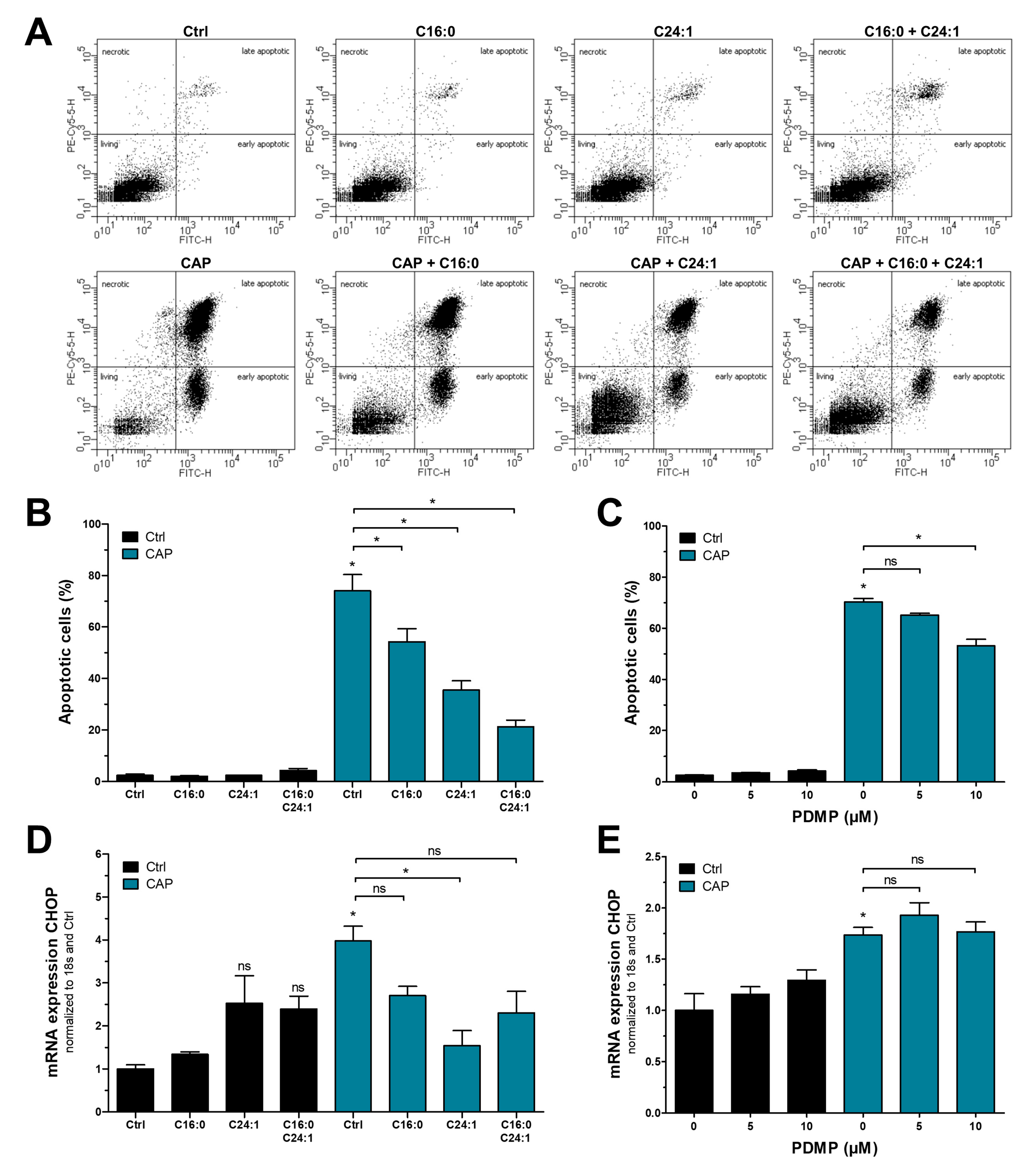 Cancers 15 01064 g004