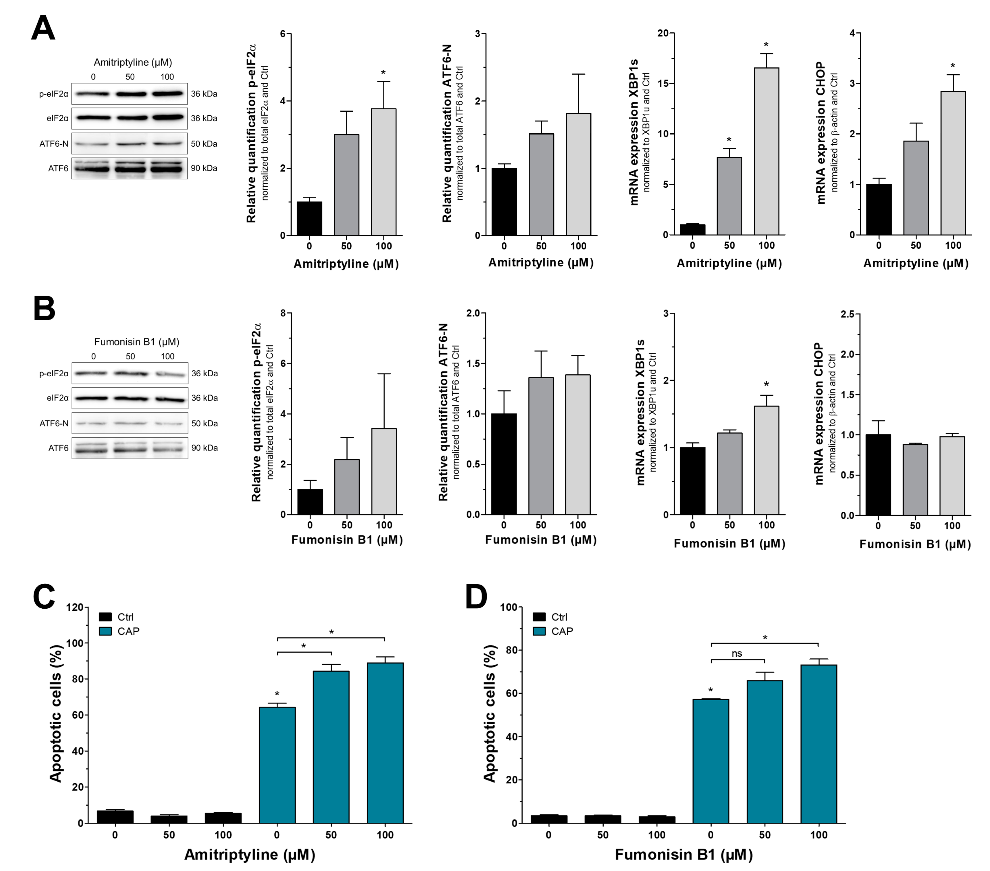 Cancers 15 01064 g005