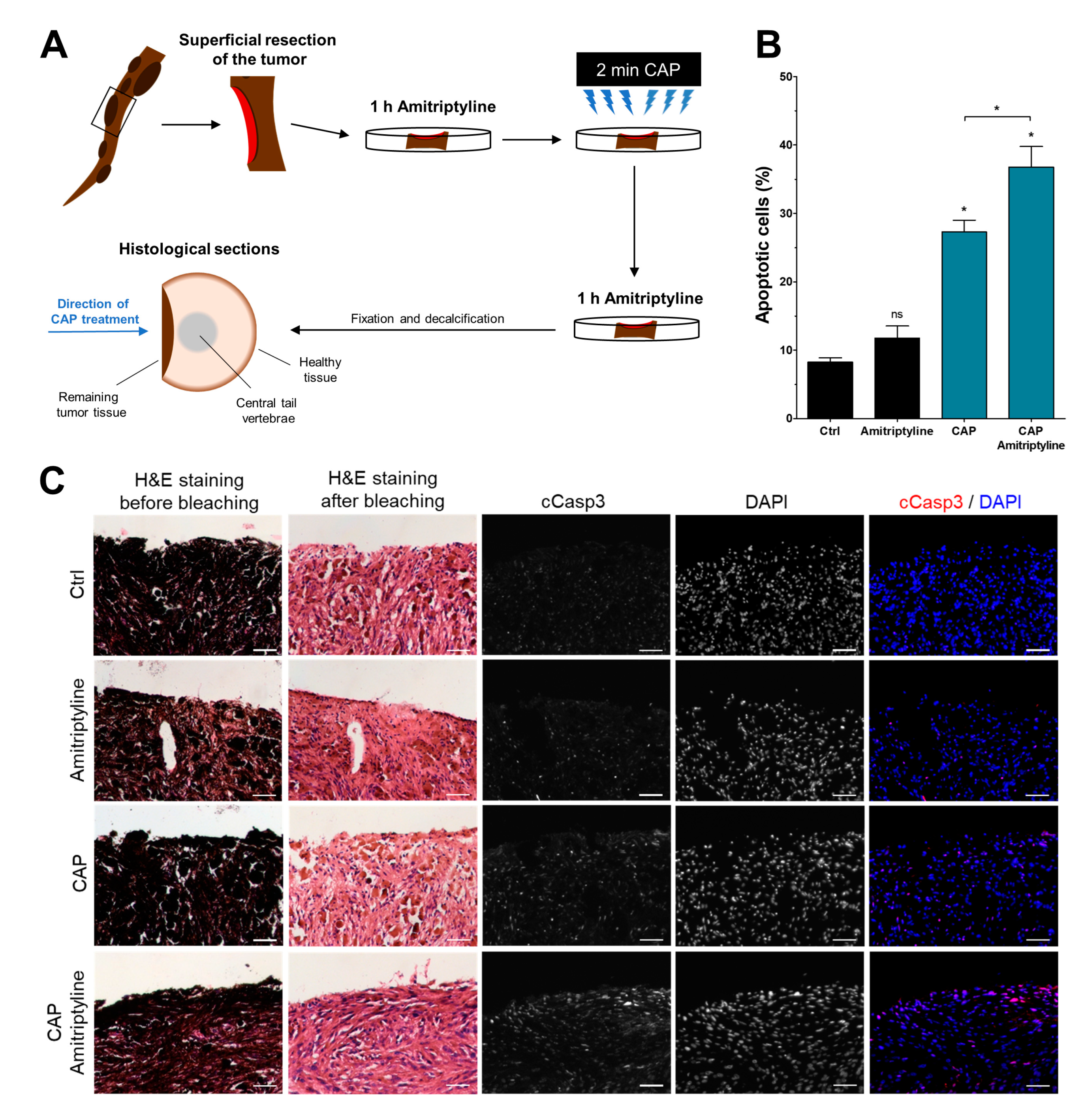Cancers 15 01064 g006