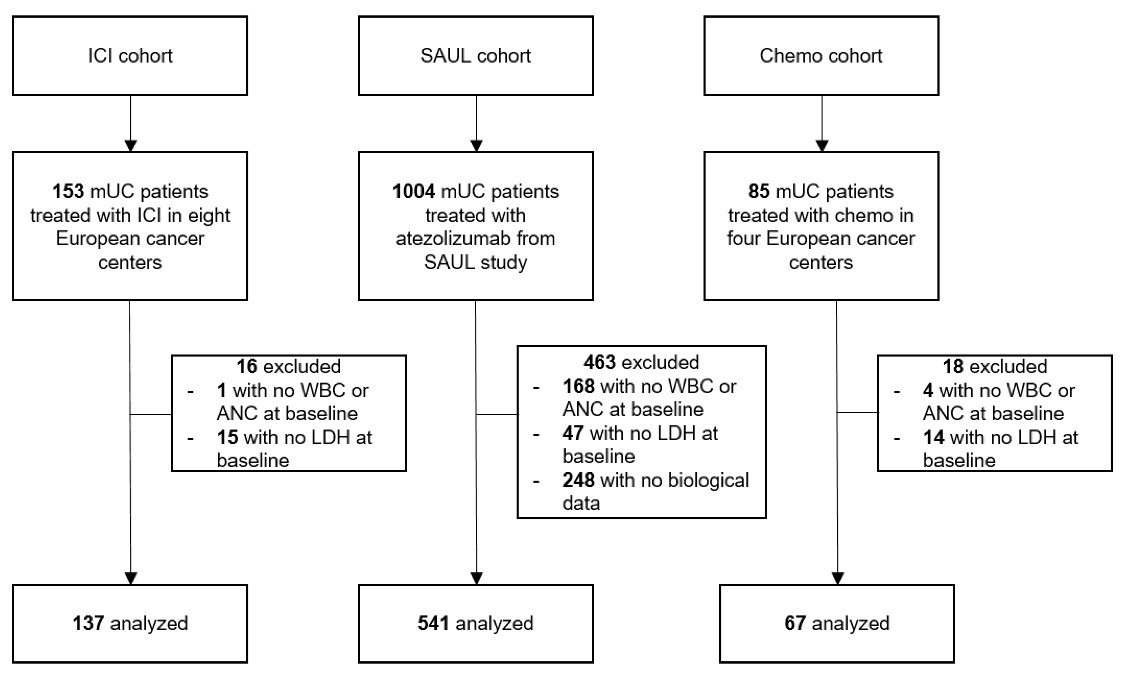 Cancers 15 01066 g001