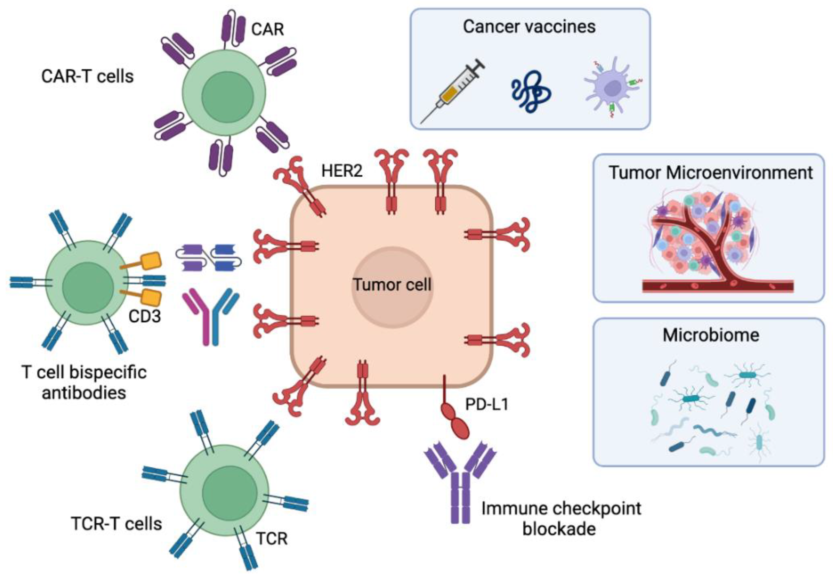 Cancers 15 01069 g001