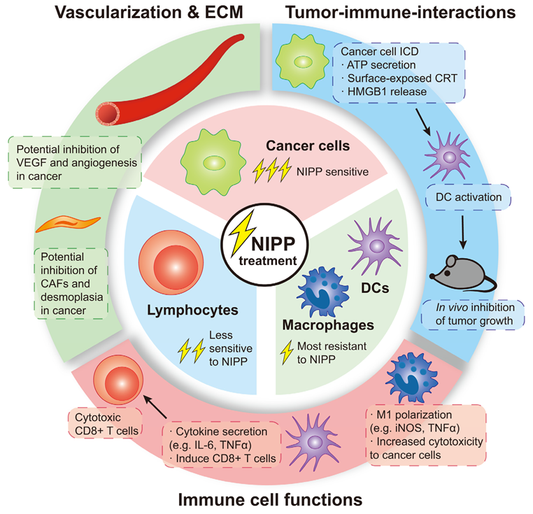 Cancers 15 01073 g002 Cancers 15 01073 g002