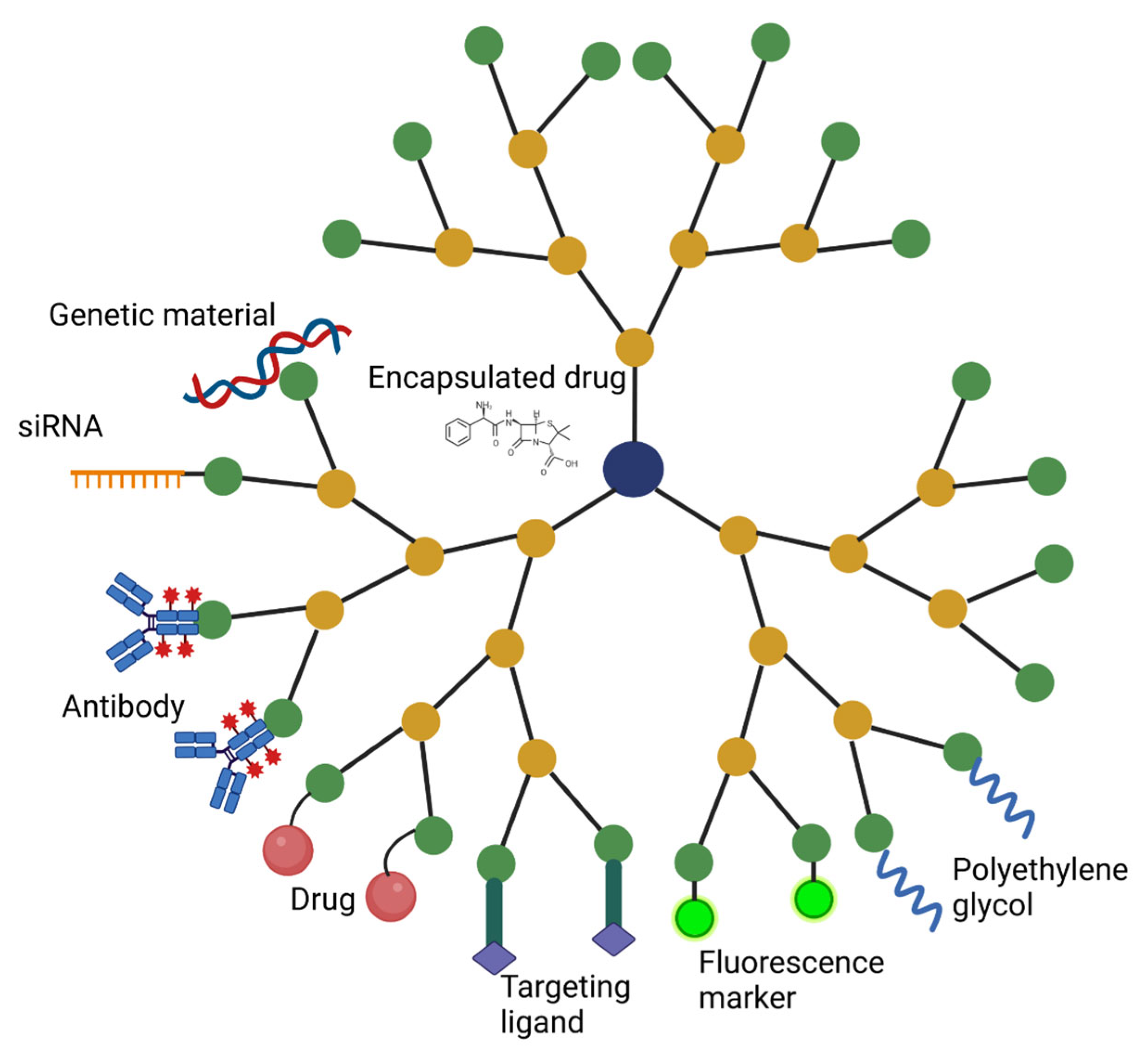 Cancers 15 01075 g002