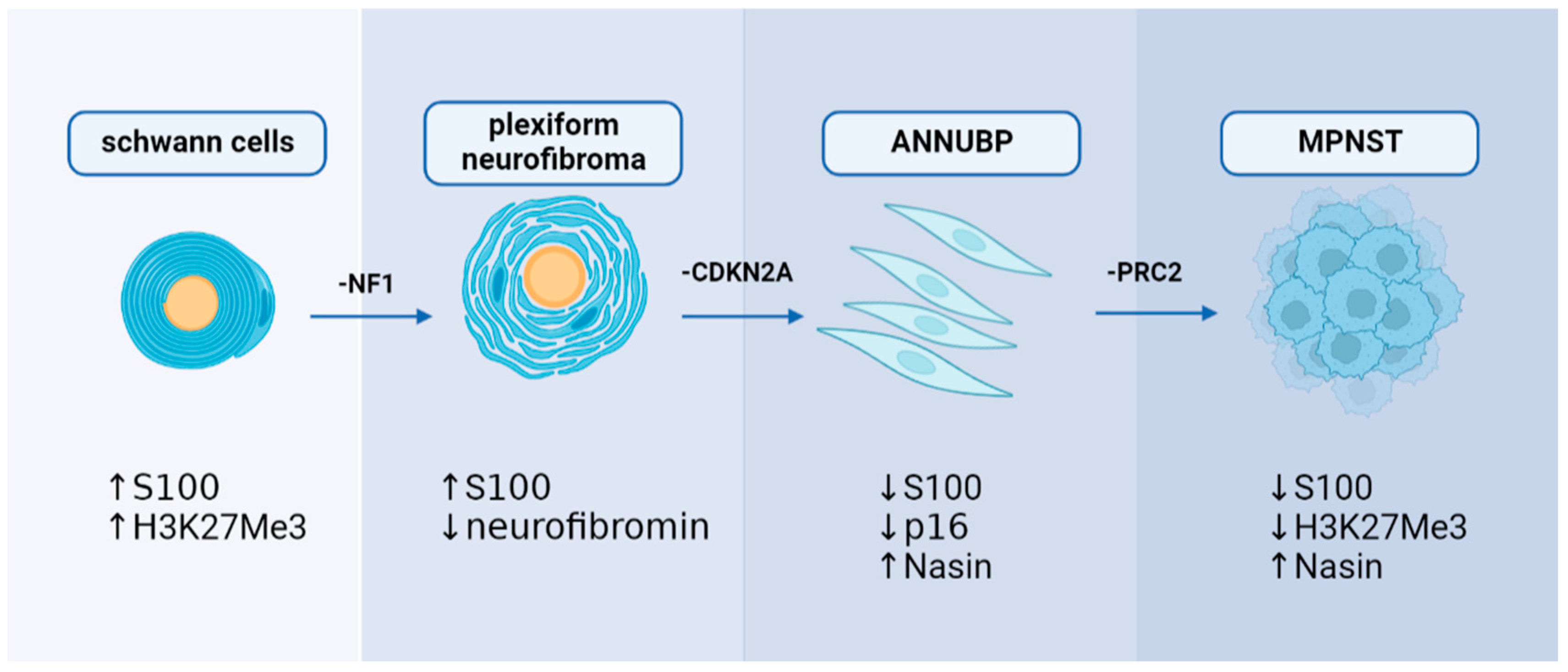 Cancers 15 01077 g003