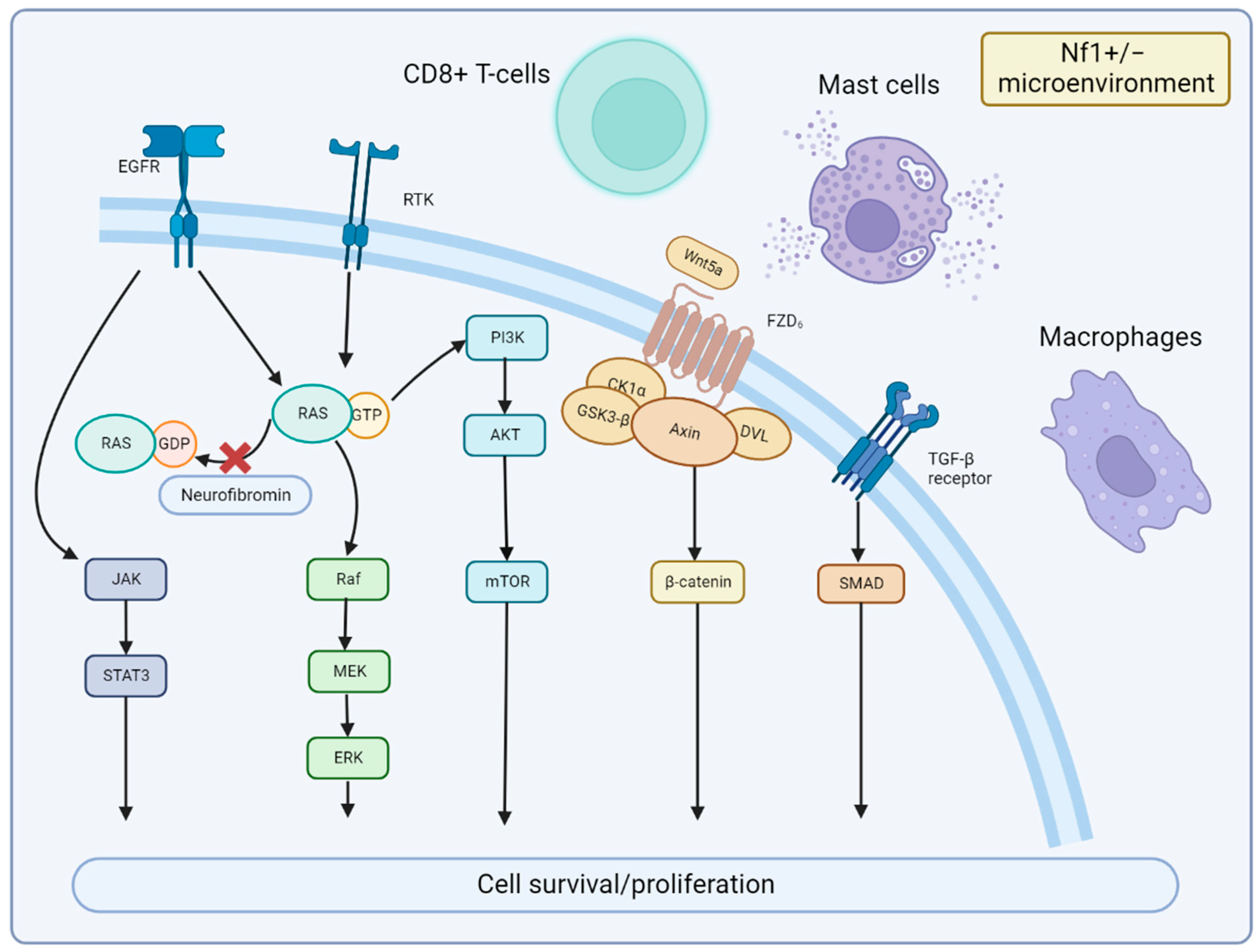 Cancers 15 01077 g004