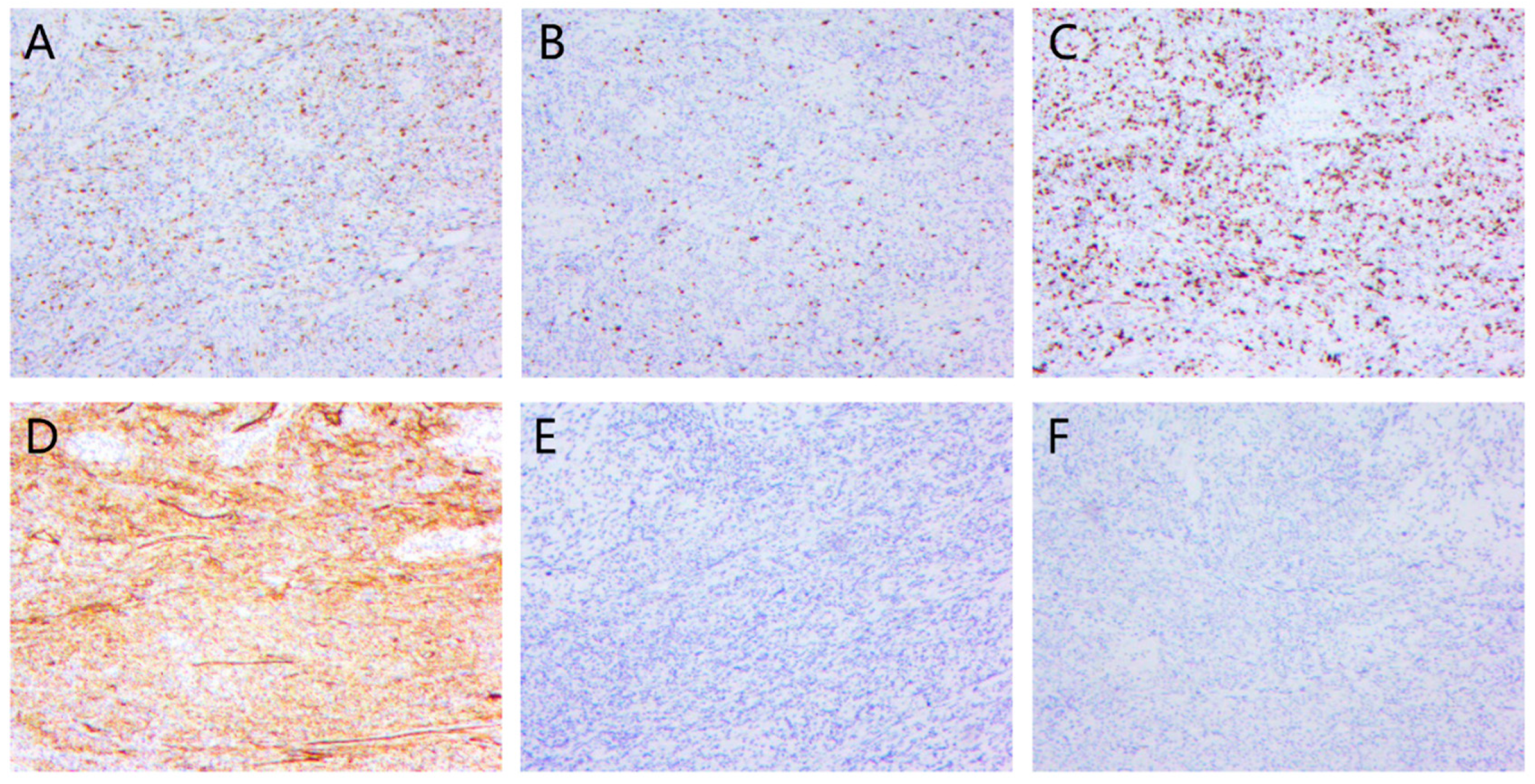 Cancers 15 01077 g006