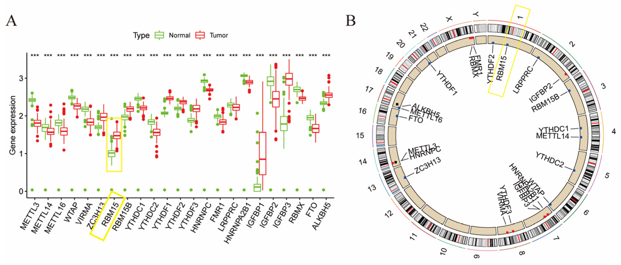 Cancers 15 01084 g001