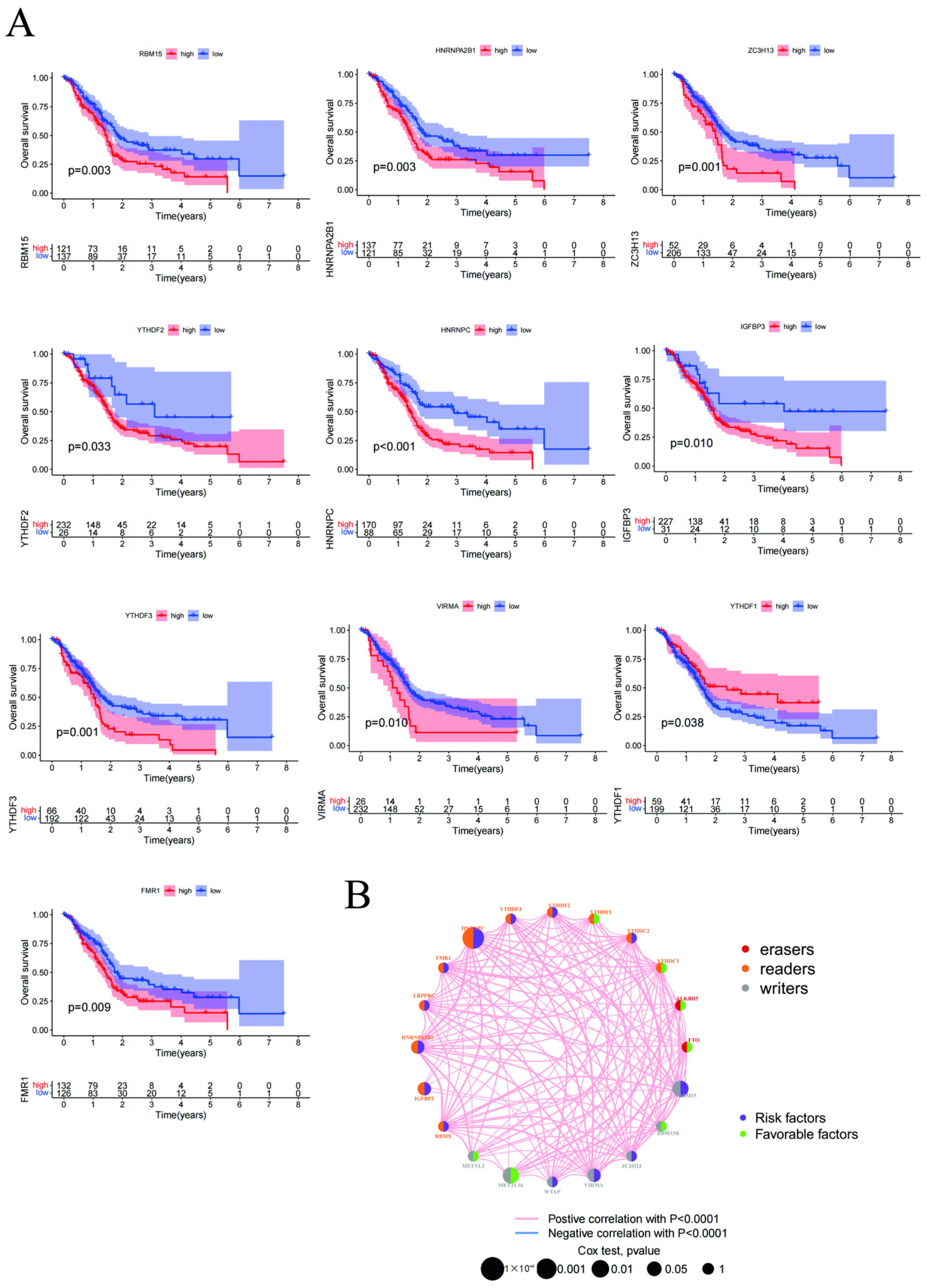Cancers 15 01084 g002