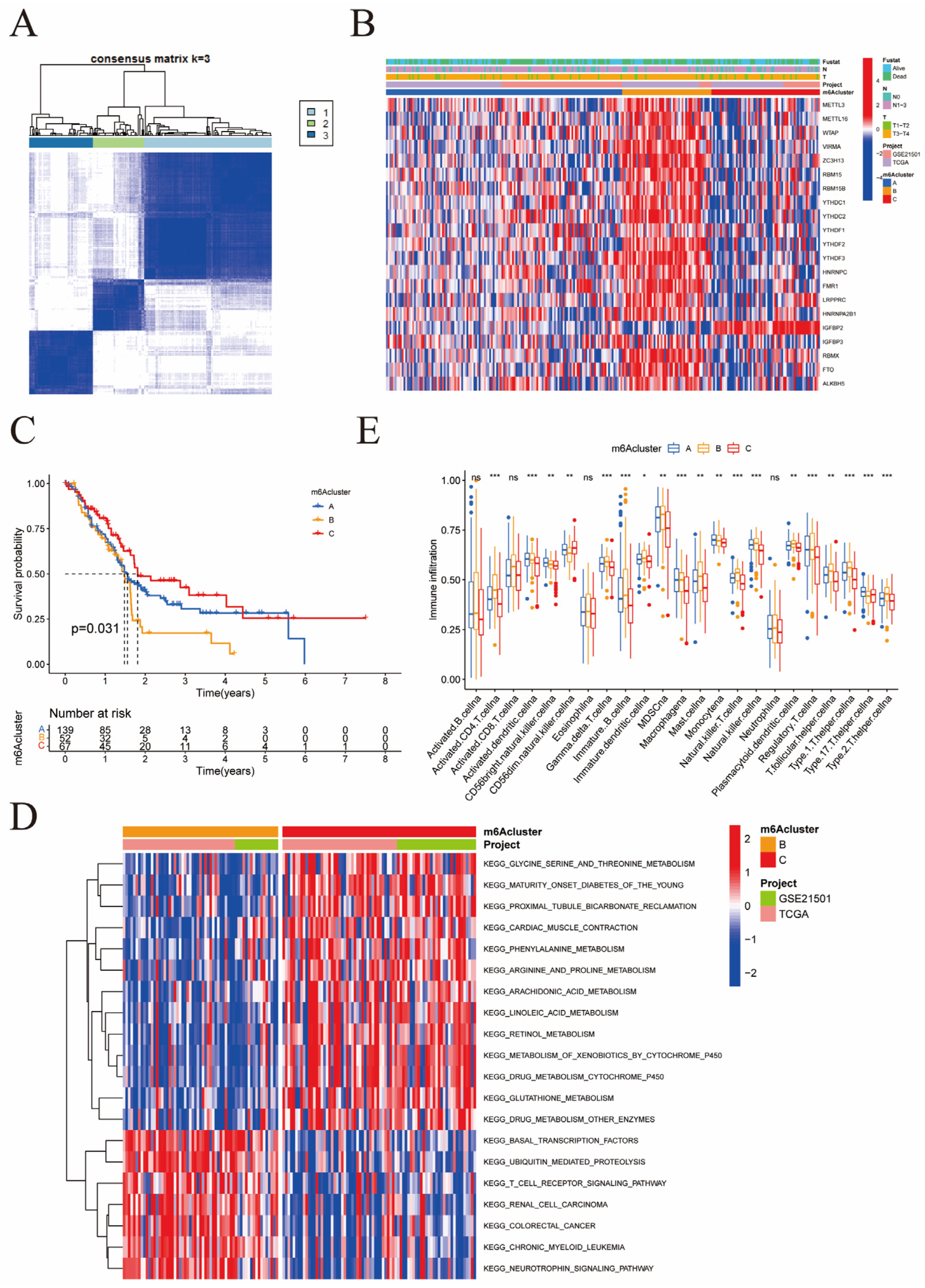 Cancers 15 01084 g003