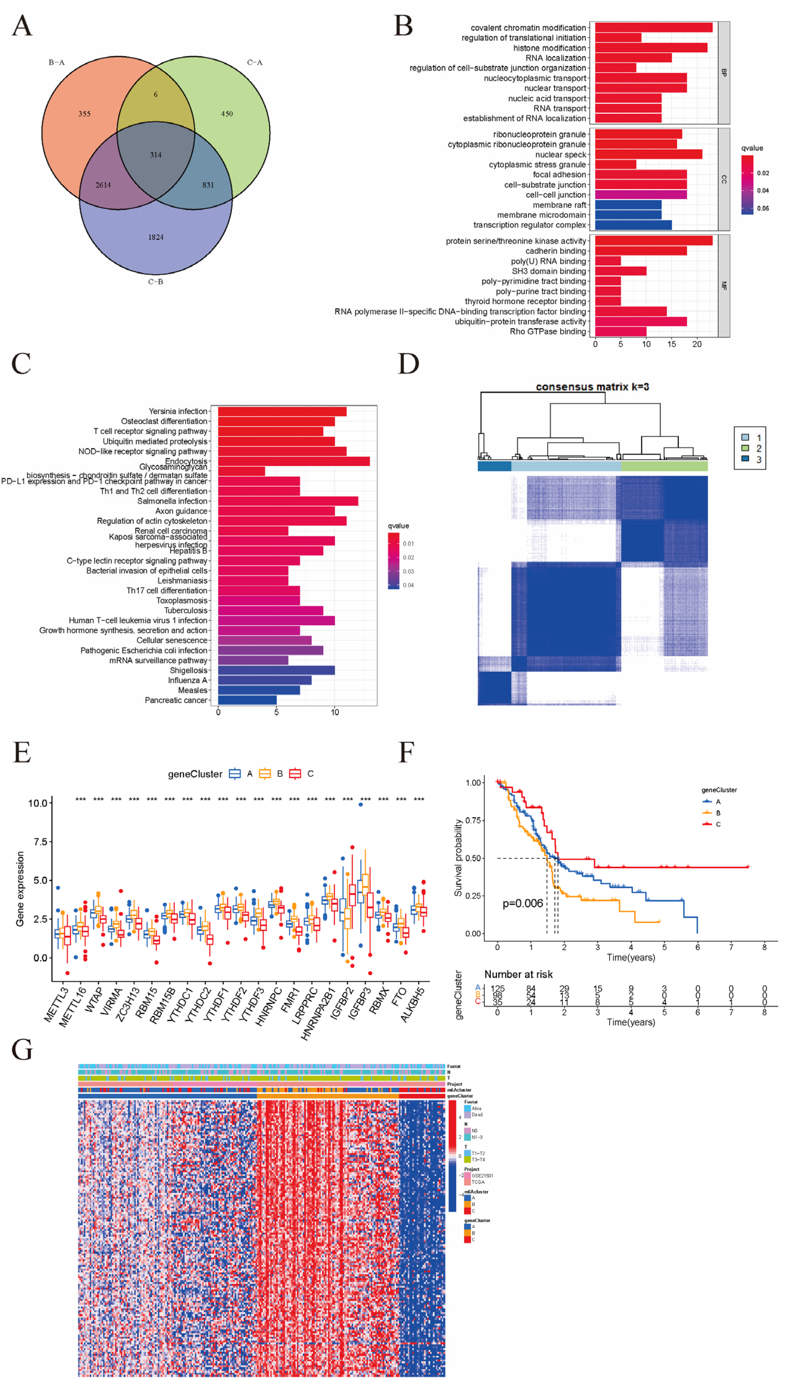 Cancers 15 01084 g004