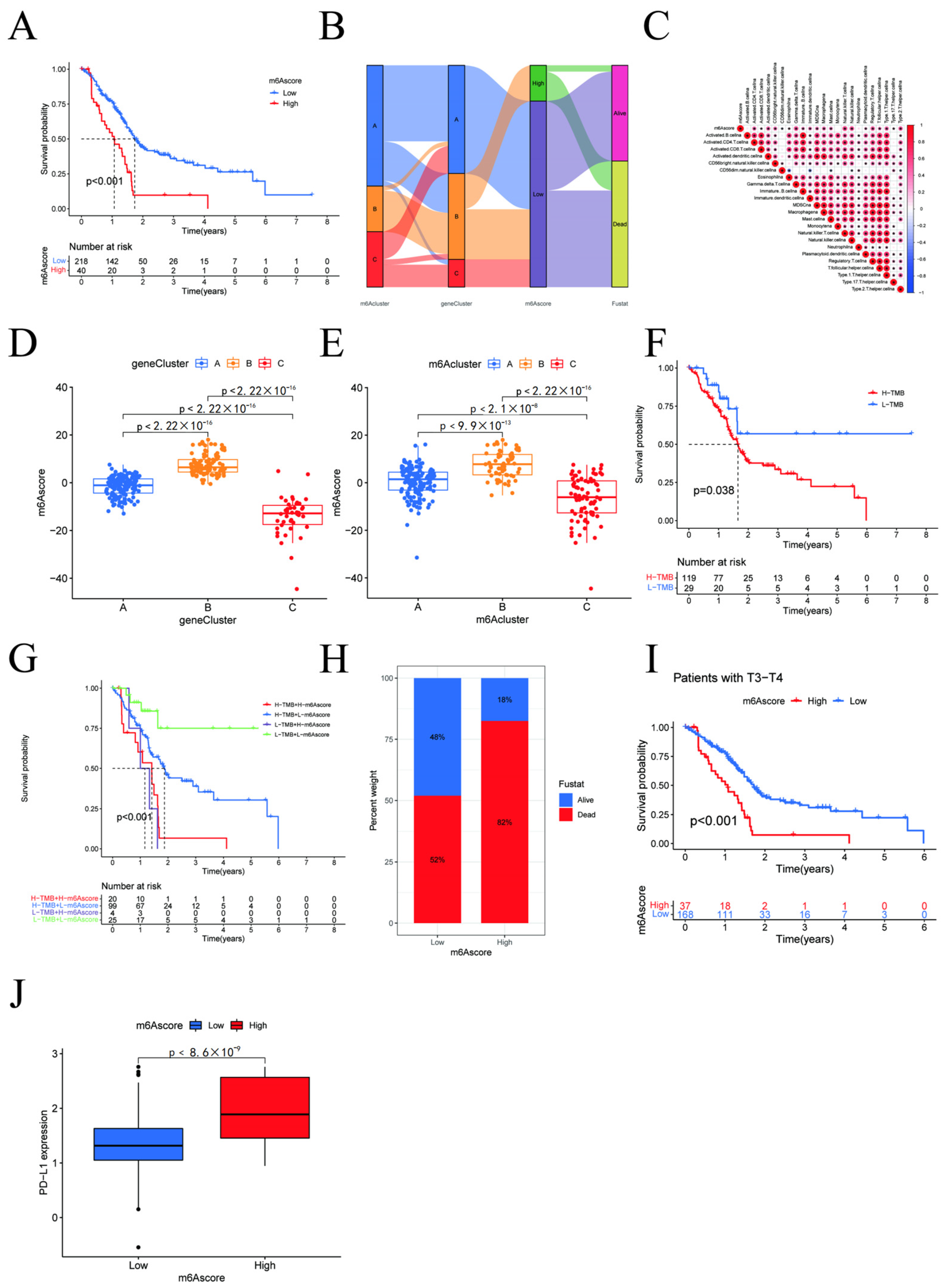 Cancers 15 01084 g005
