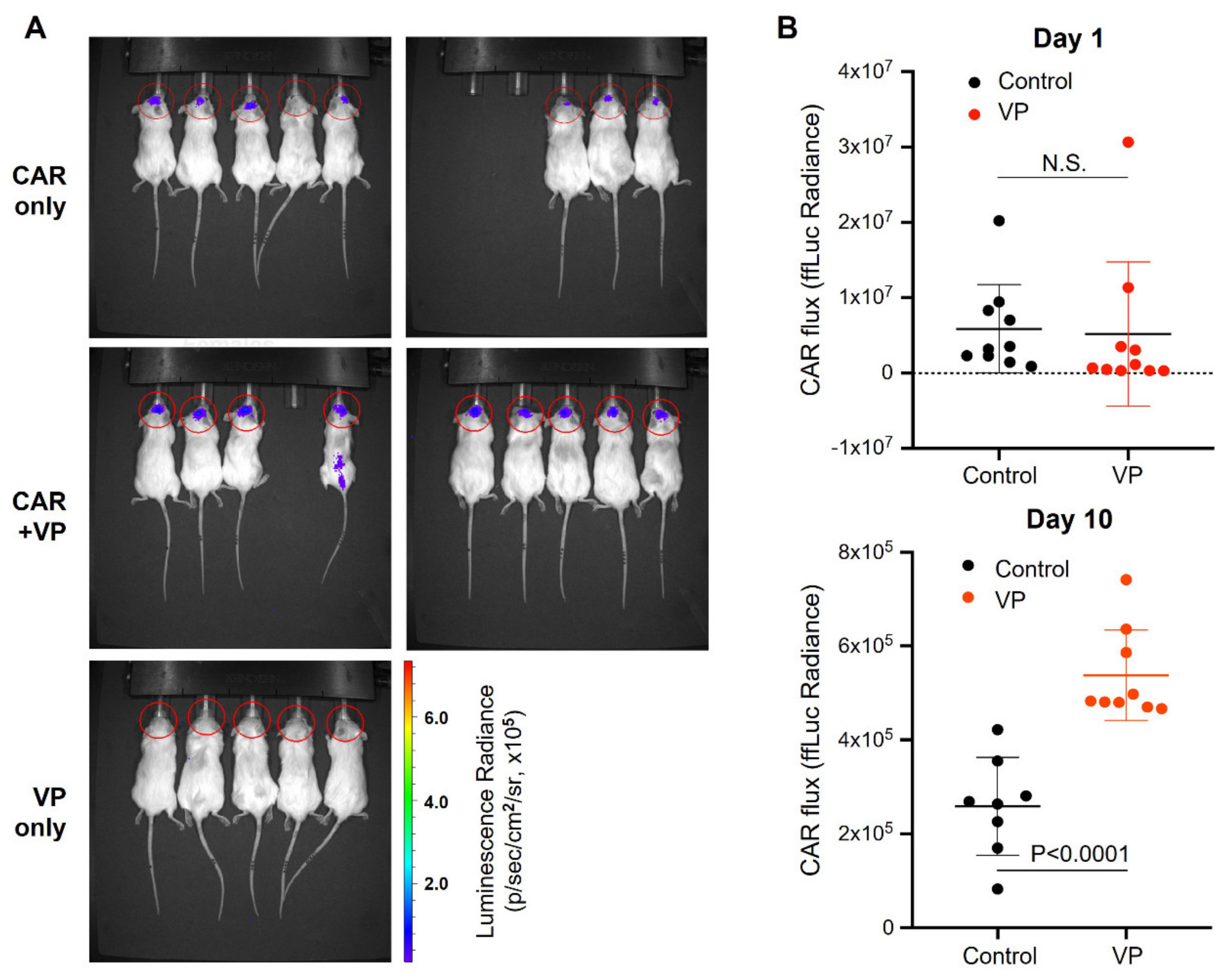 Cancers 15 01085 g007