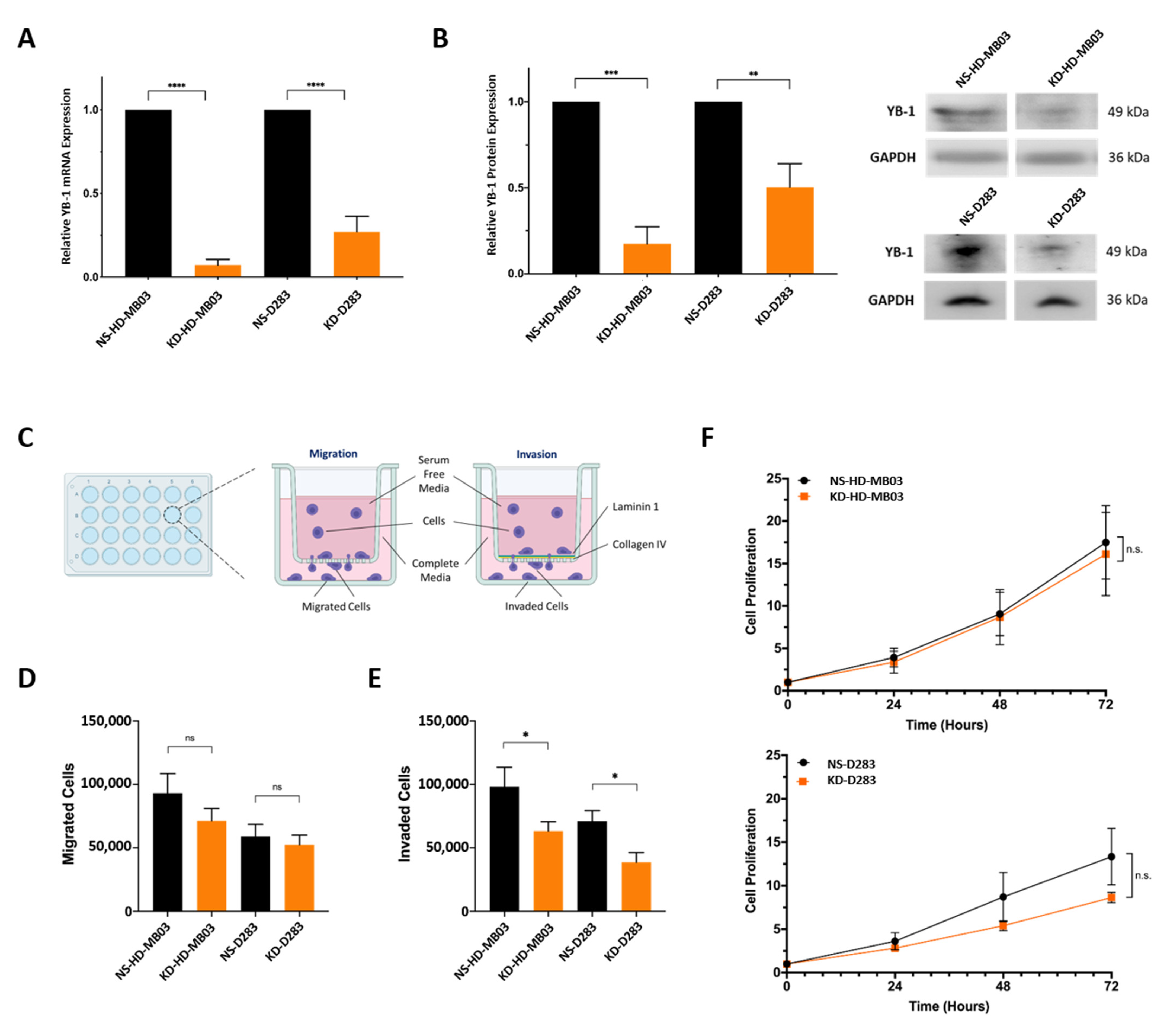 Cancers 15 01086 g002