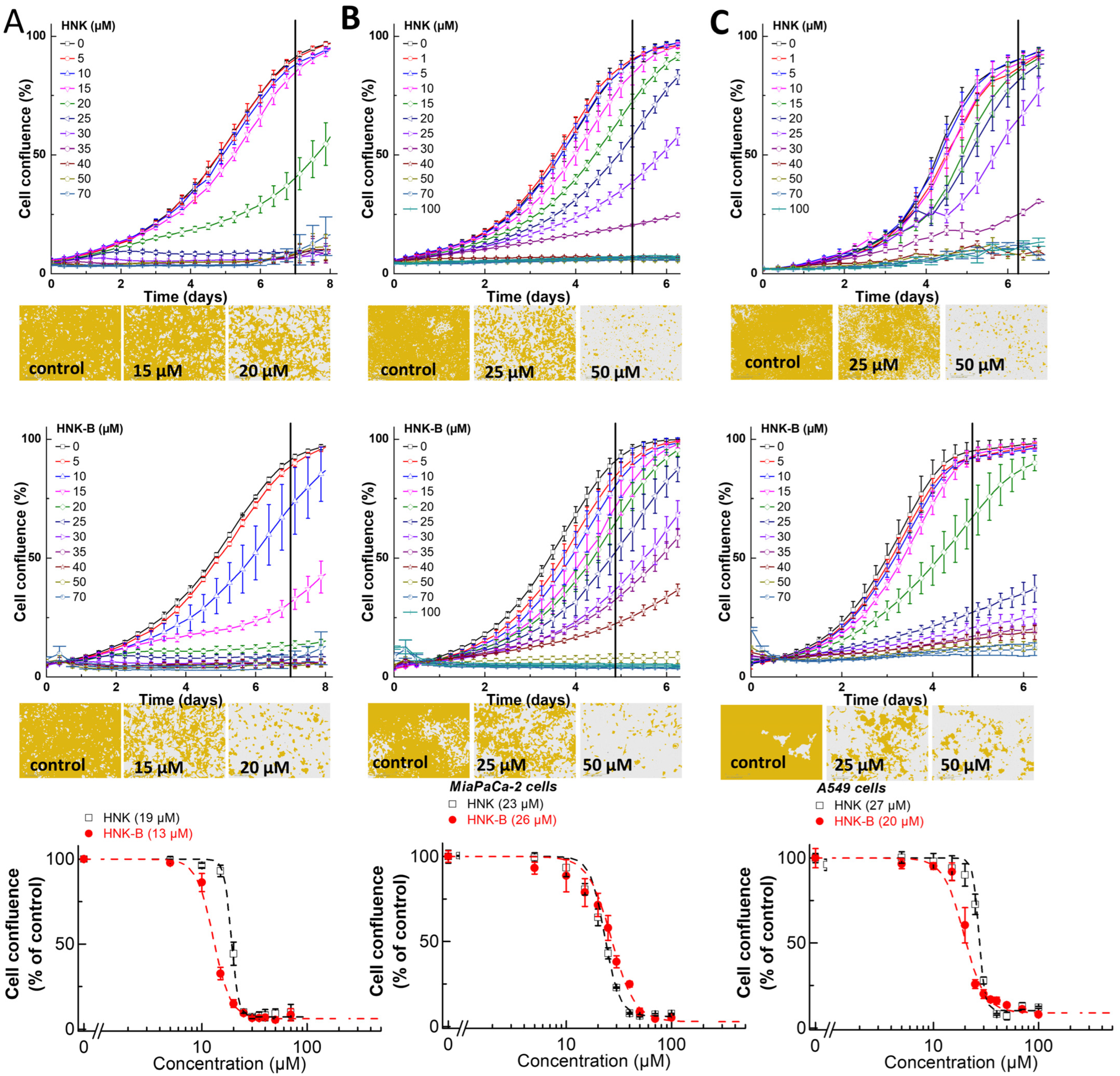 Cancers 15 01089 g002