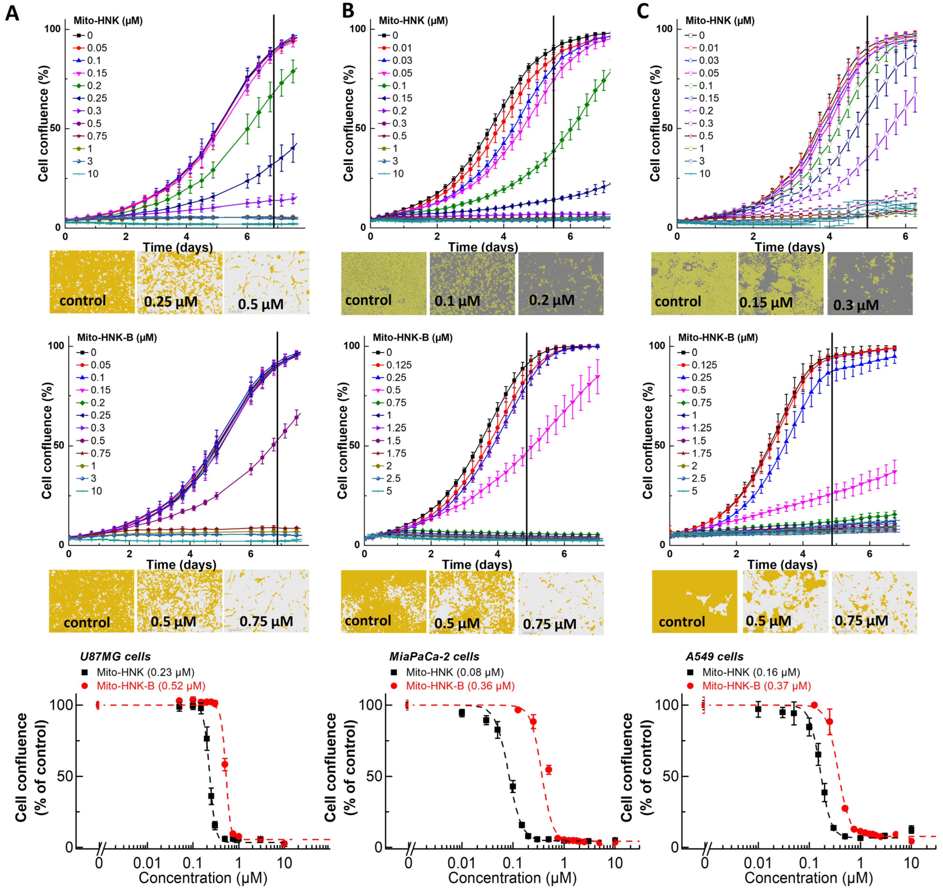 Cancers 15 01089 g003