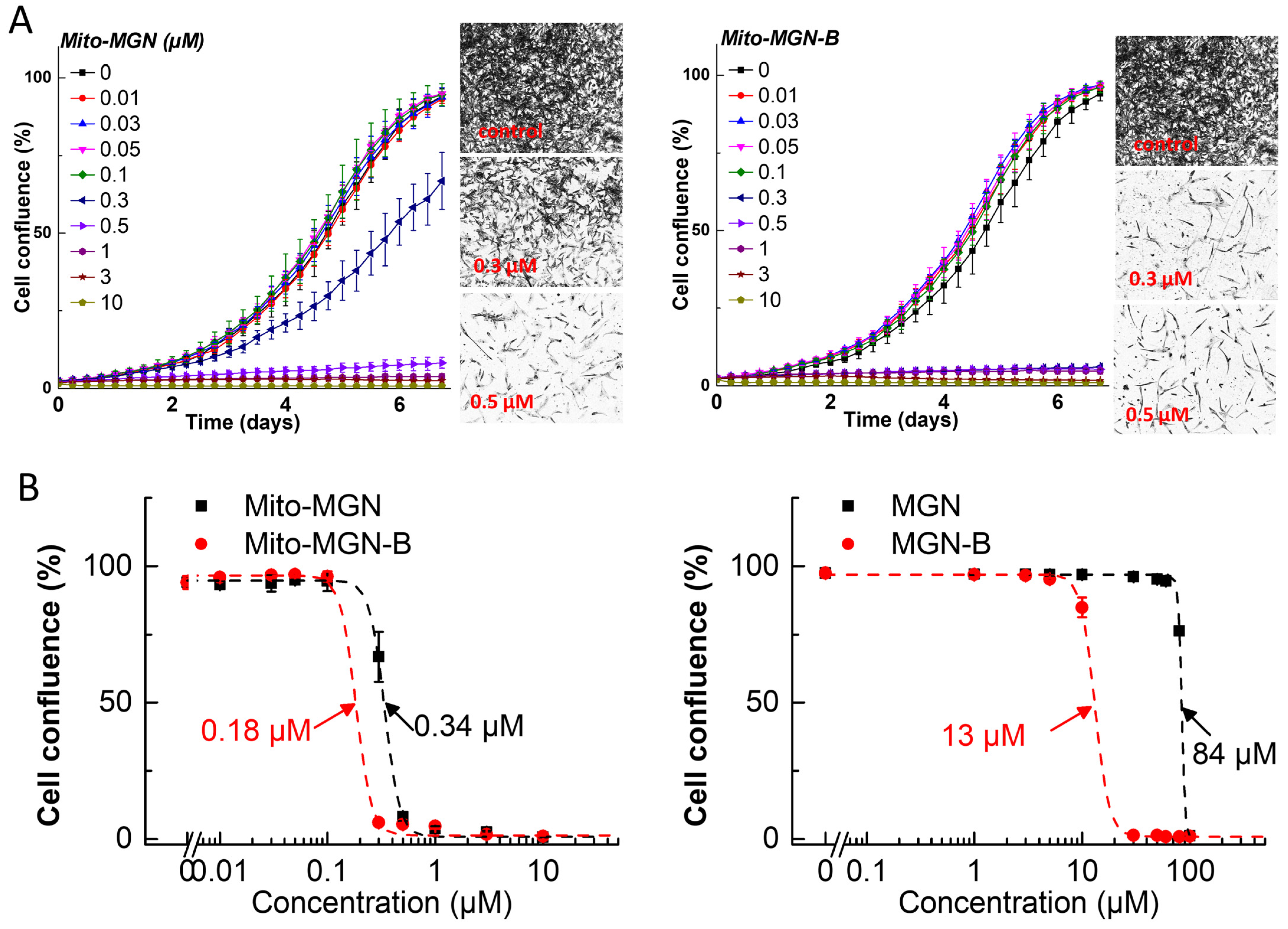 Cancers 15 01089 g004