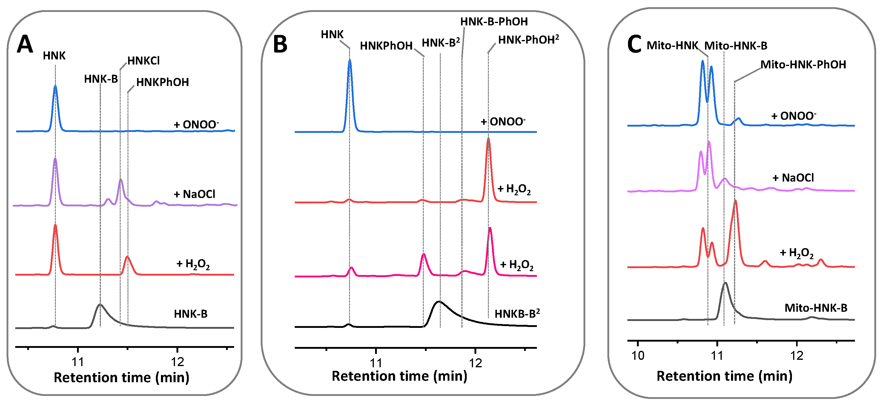 Cancers 15 01089 g006