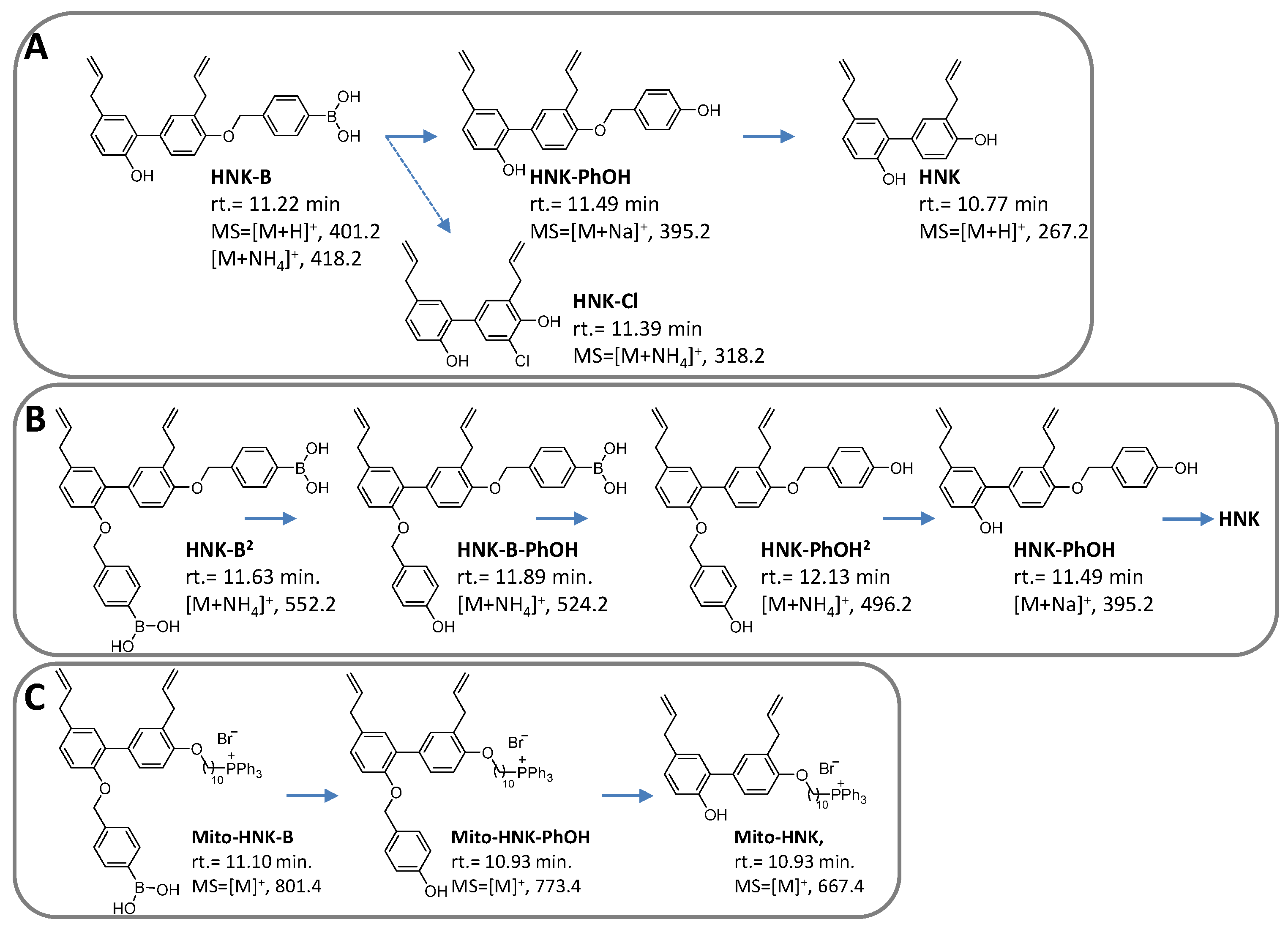 Cancers 15 01089 g007
