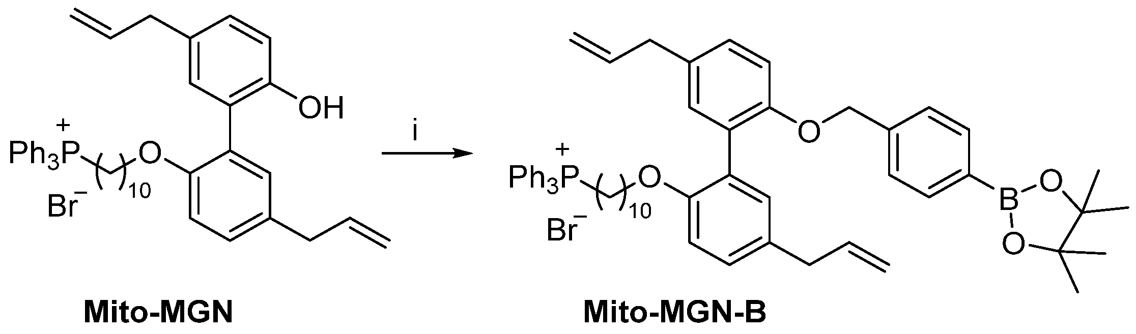 Cancers 15 01089 sch004