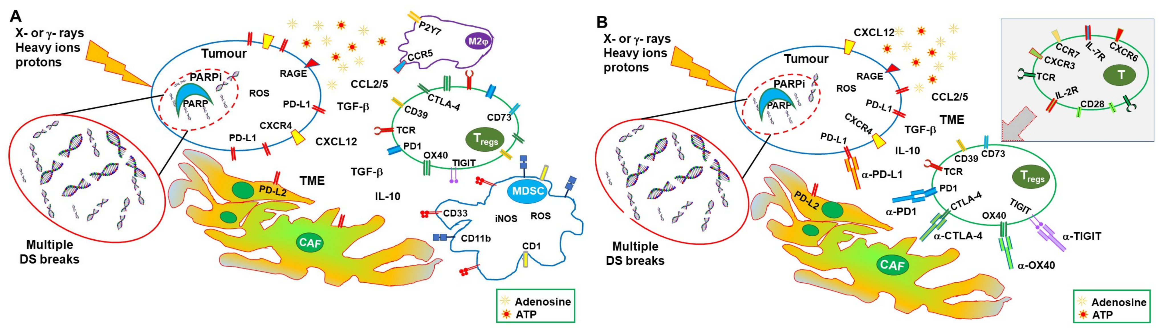 Cancers 15 01093 g002