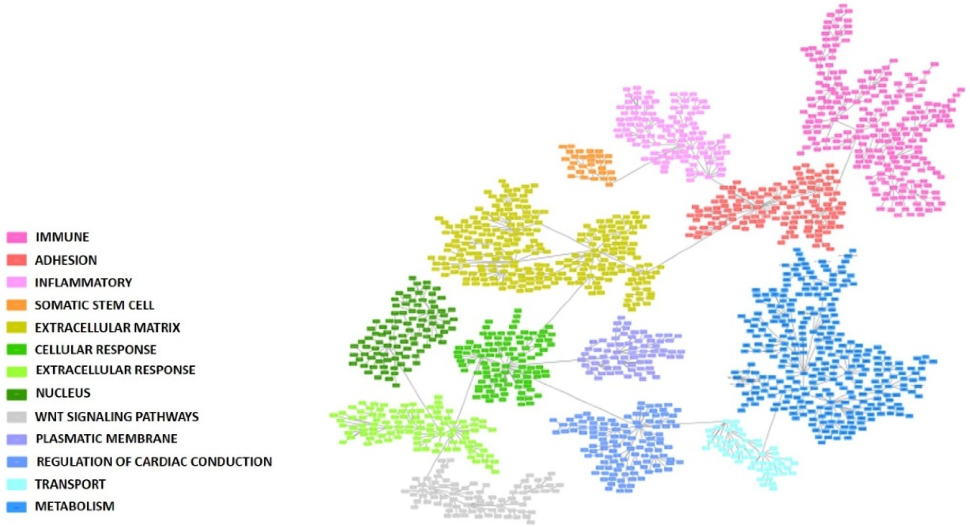 Cancers 15 01104 g001 Cancers 15 01104 g001