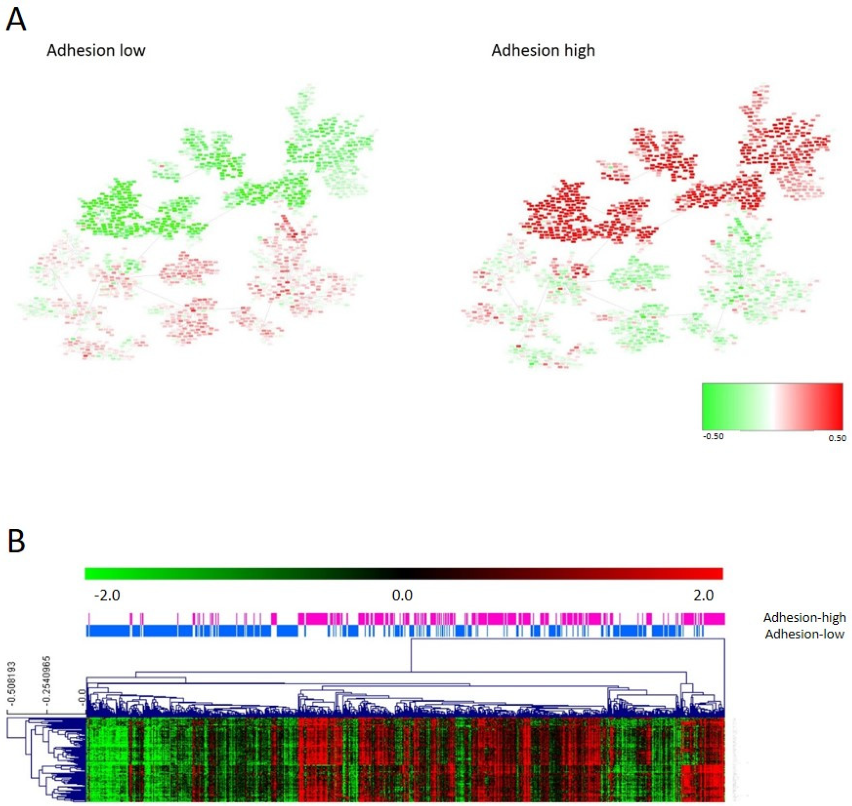 Cancers 15 01104 g002 Cancers 15 01104 g002