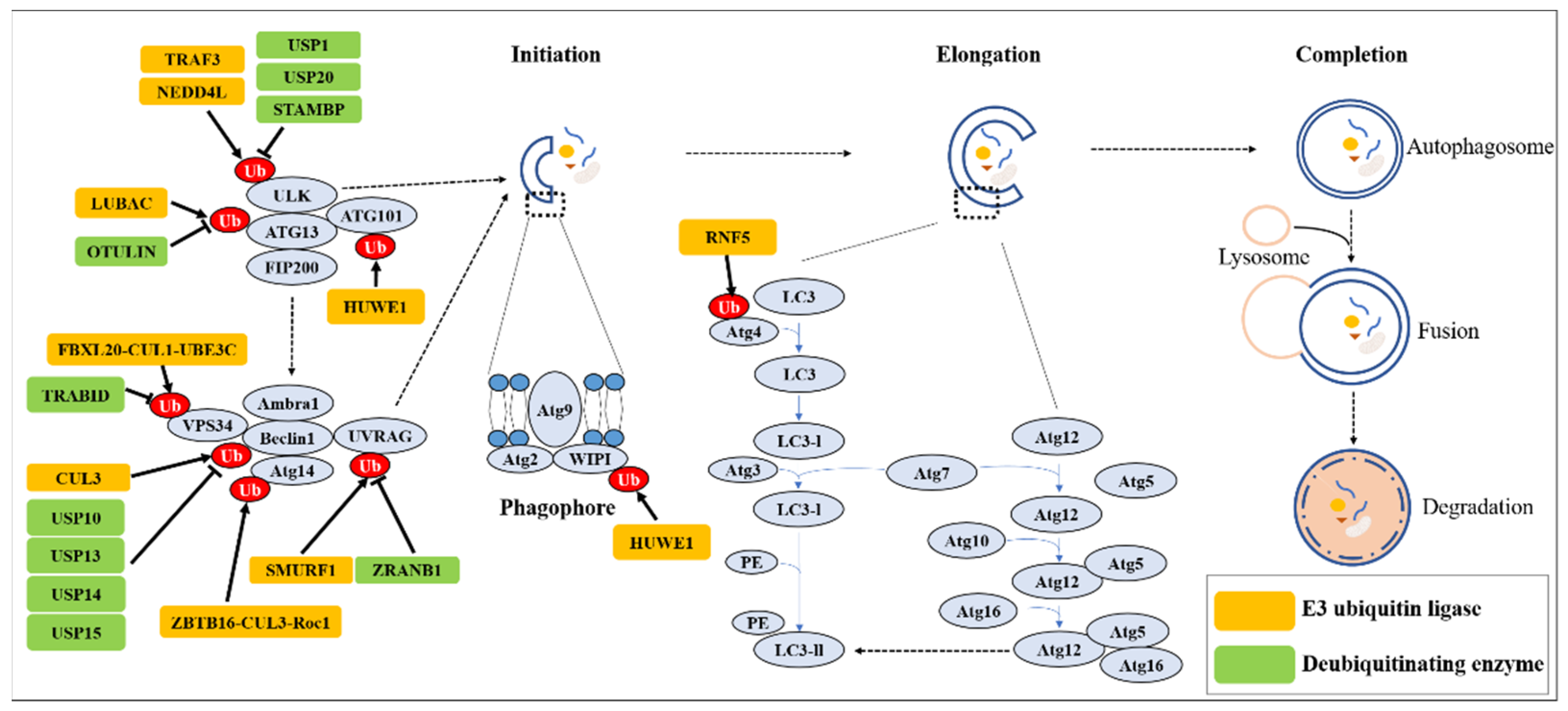 Cancers 15 01112 g001