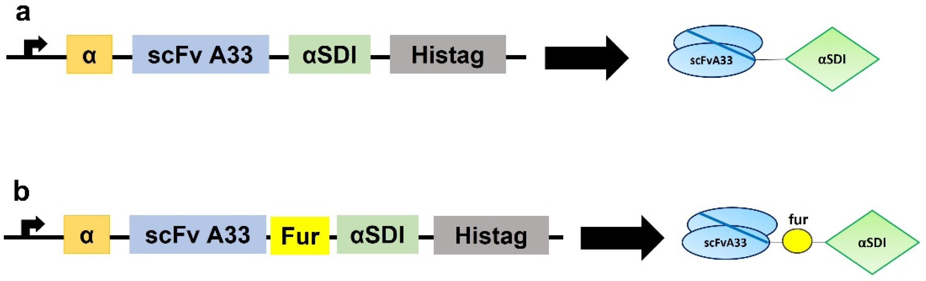 Cancers 15 01114 g001